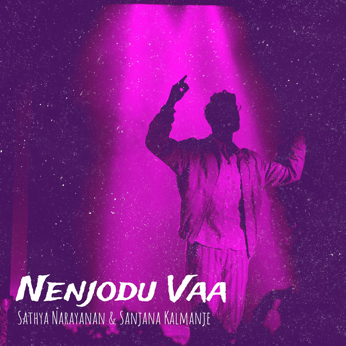 Sathya Narayanan