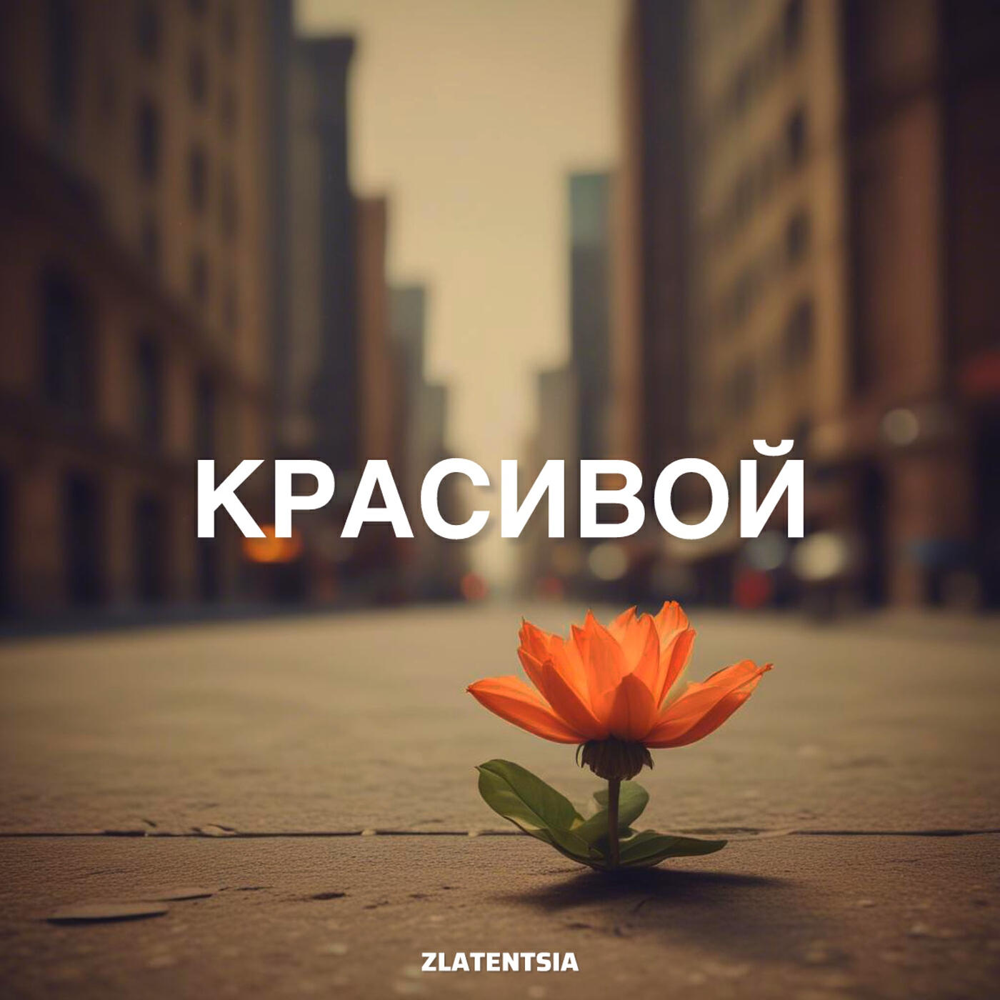 Релиз Красивой