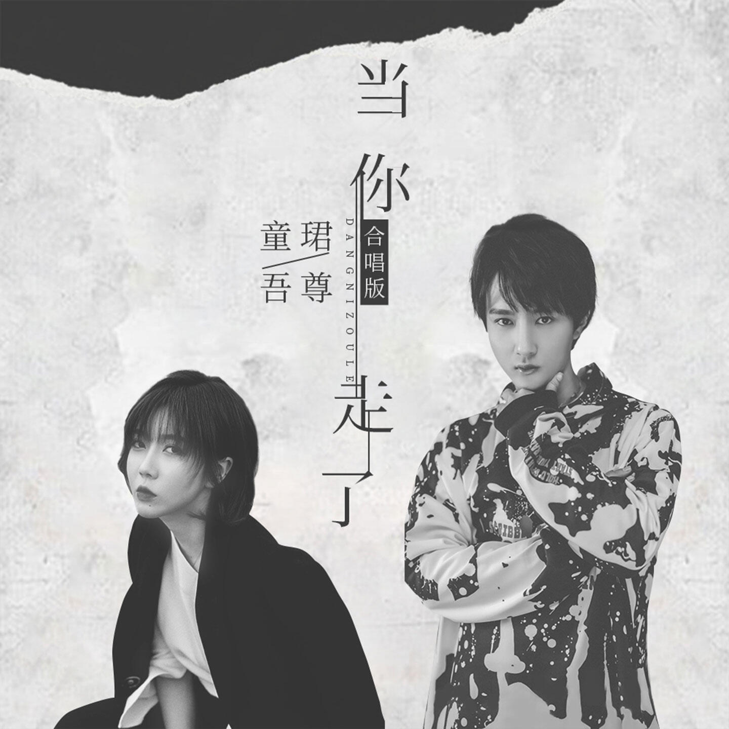 Релиз 当你走了 (合唱版)