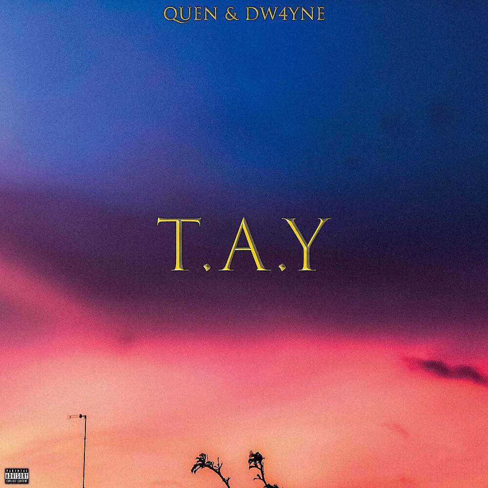 Релиз T.A.Y