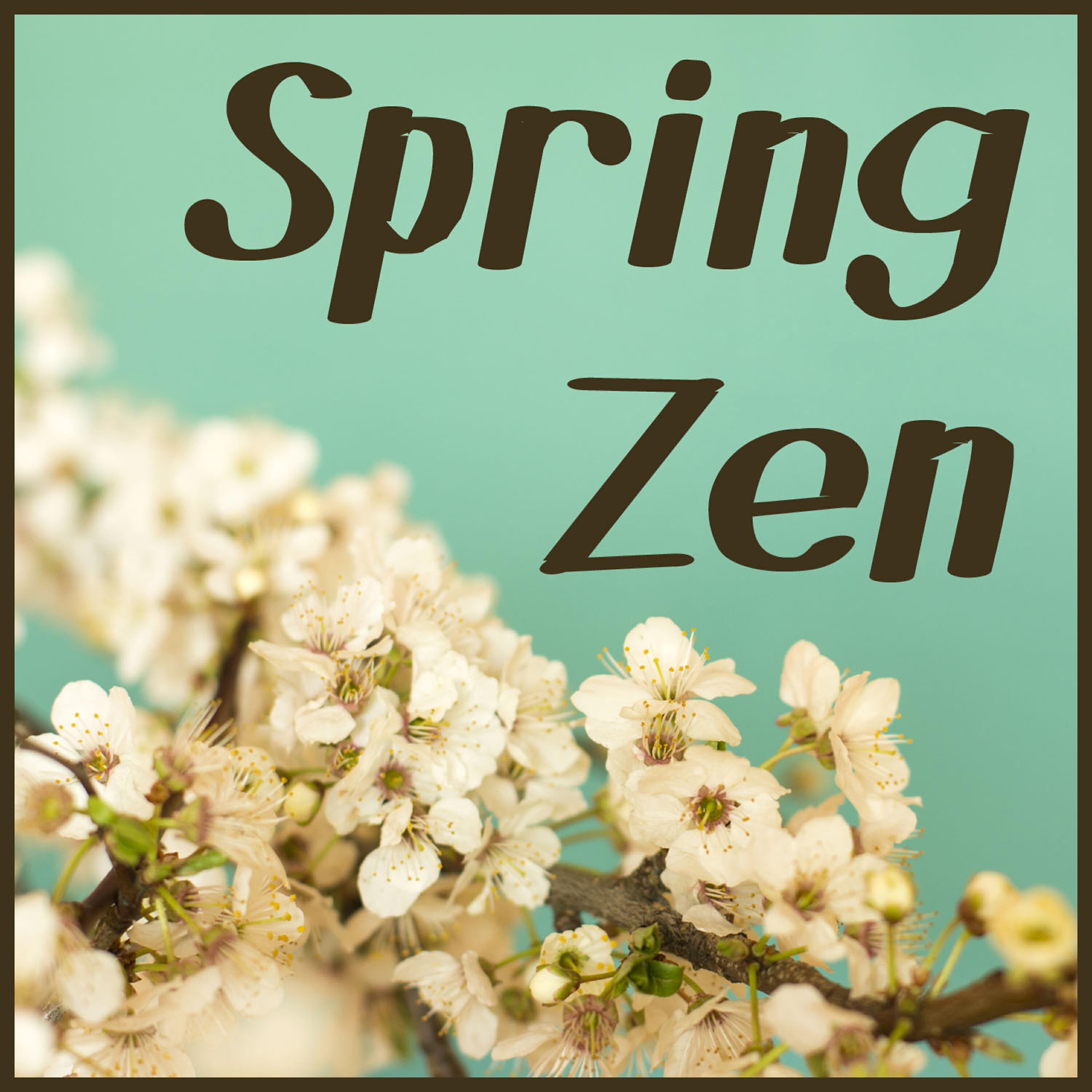 Релиз Spring Zen: Meditation Music for New Beginnings