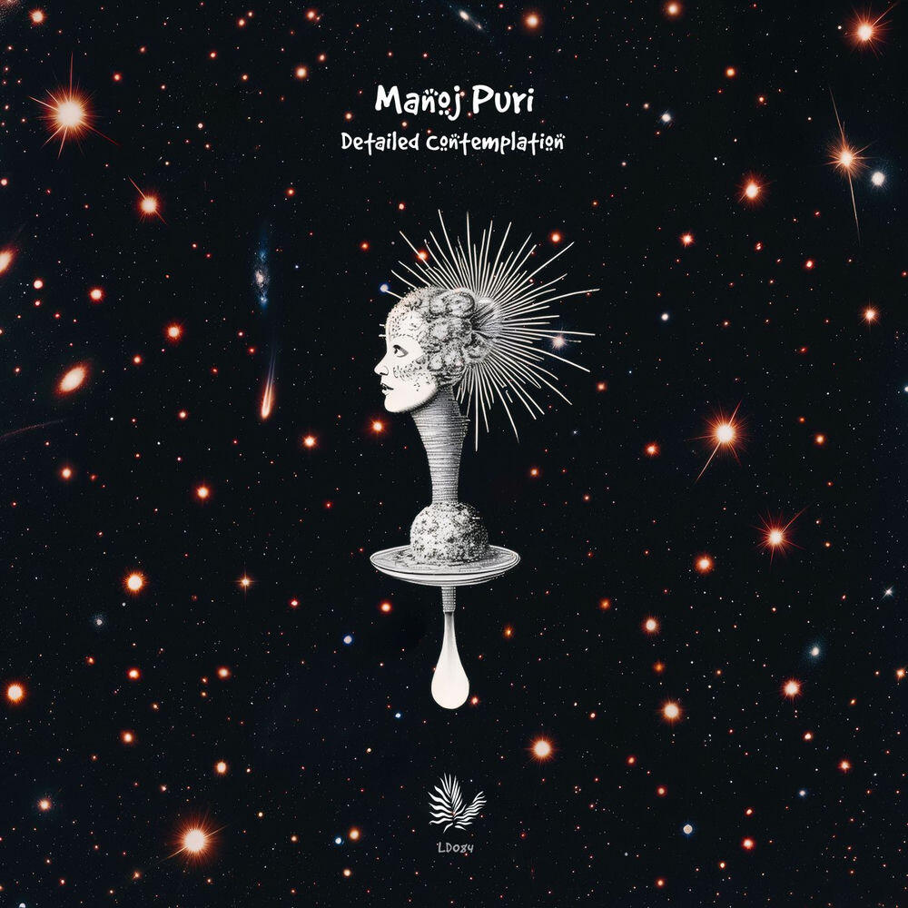 Релиз Detailed Contemplation