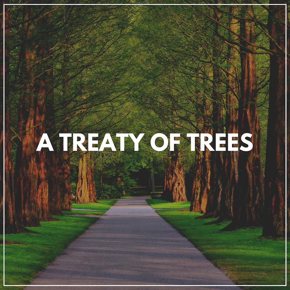 Релиз A Treaty of Trees