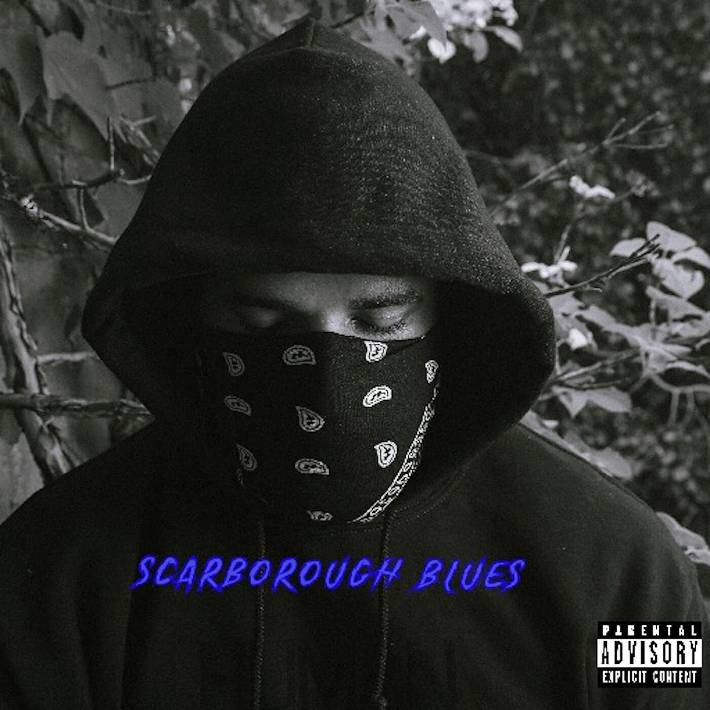 Релиз Scarborough Blues