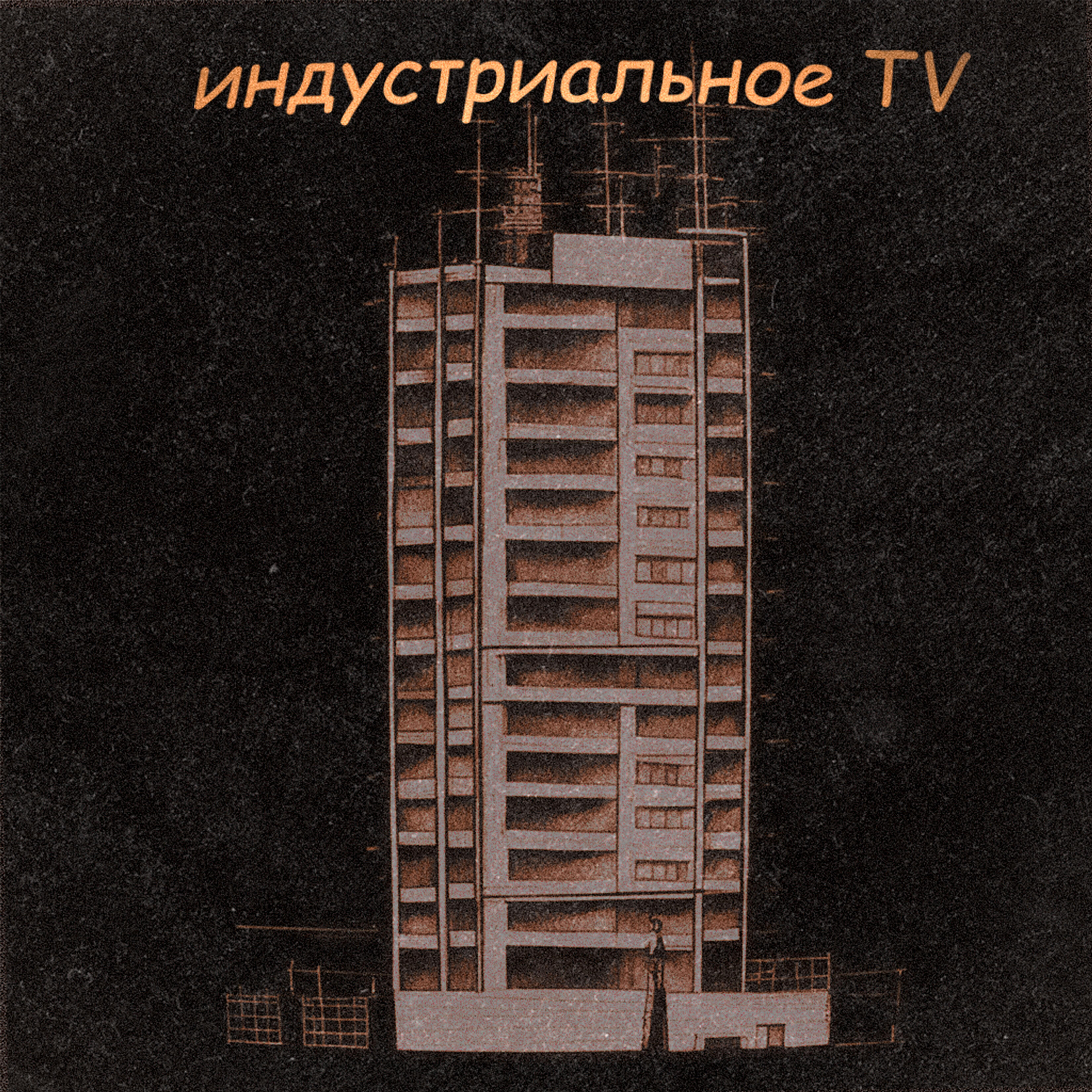 Релиз Timeless Tune