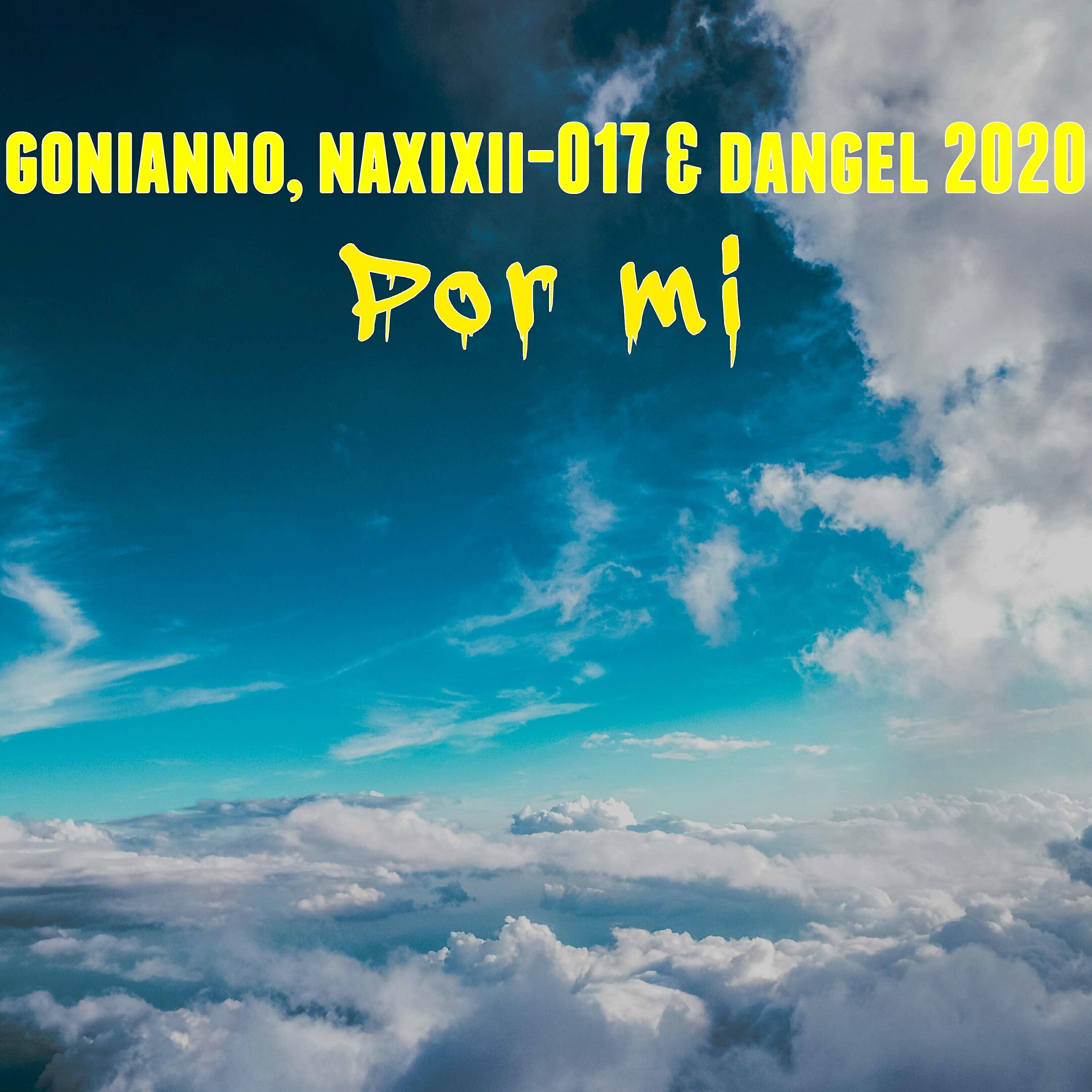 naxixii-017