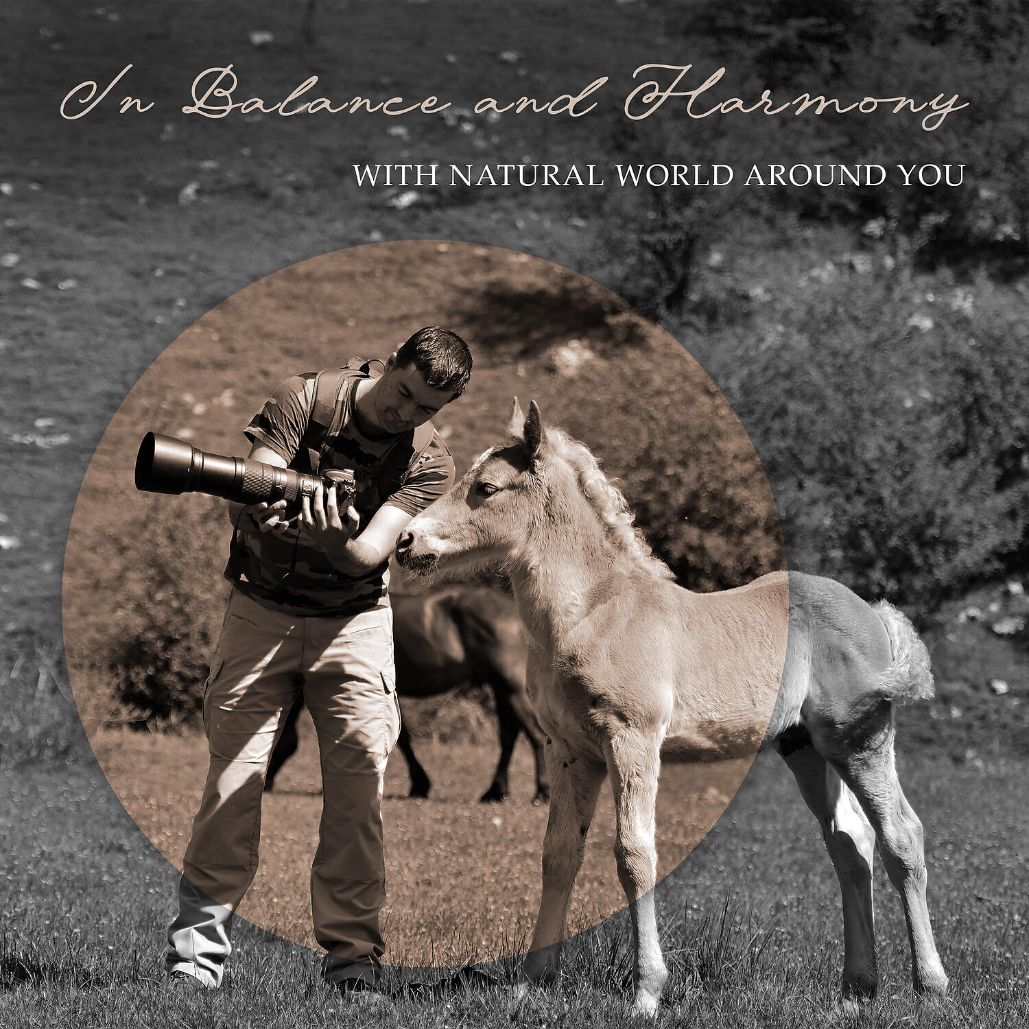 Релиз In Balance and Harmony with Natural World Around You - World Animal Day