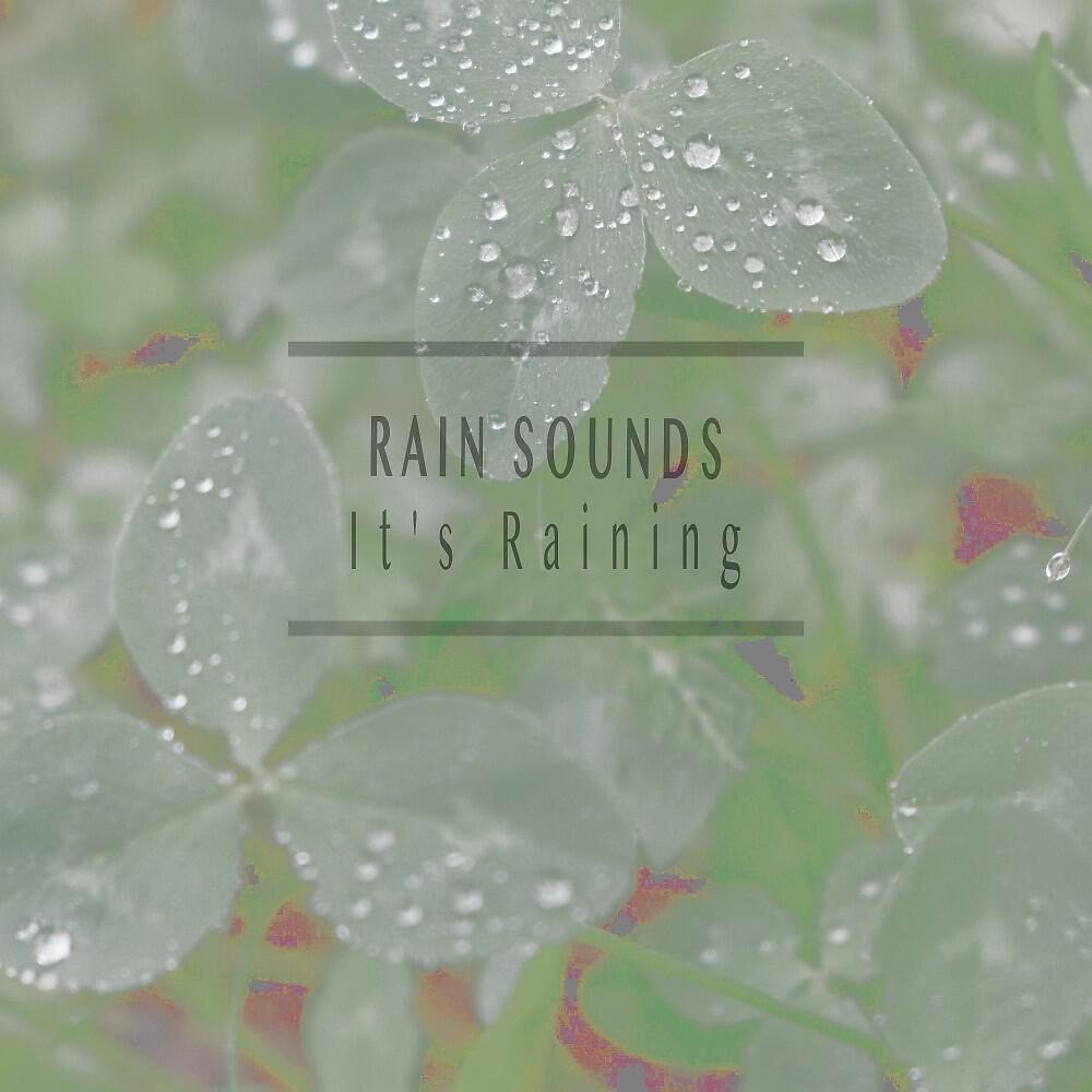 Релиз It's Raining