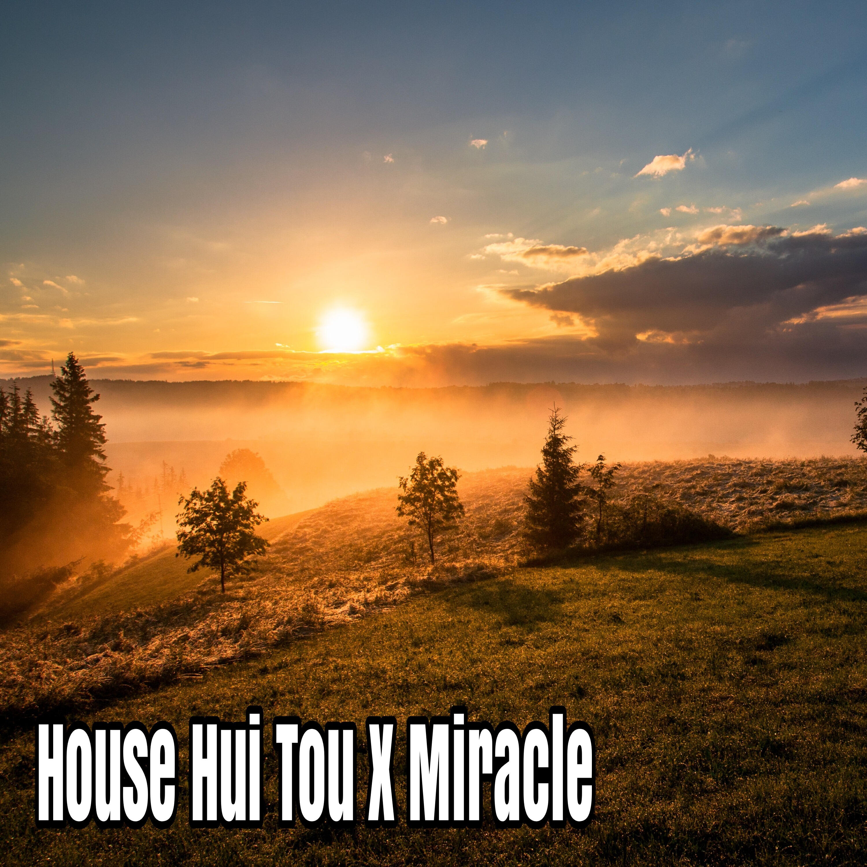 Релиз House Hui Tou X Miracle
