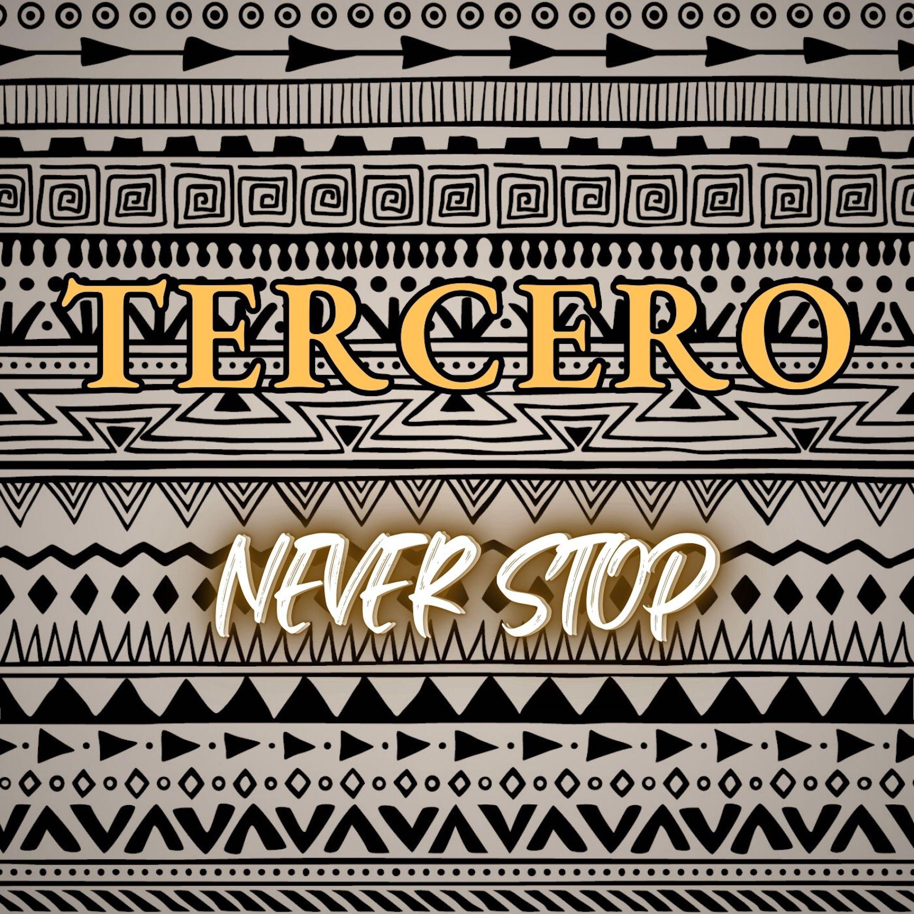 Релиз Never Stop