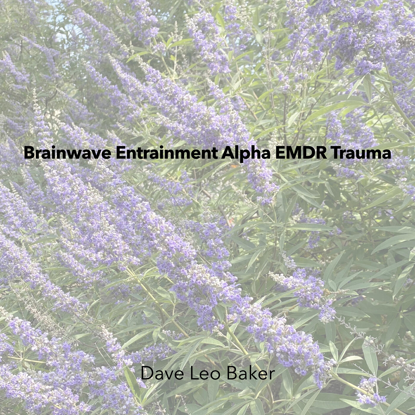 Релиз Brainwave Entrainment Alpha Emdr Trauma
