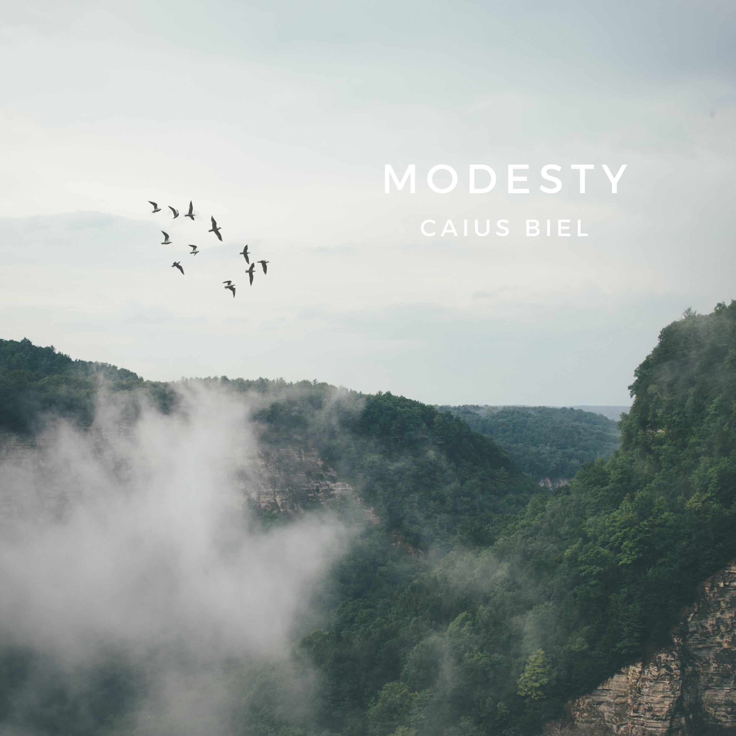 Релиз Modesty