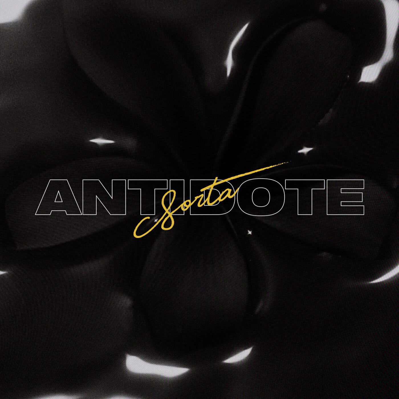 Постер альбома Antidote