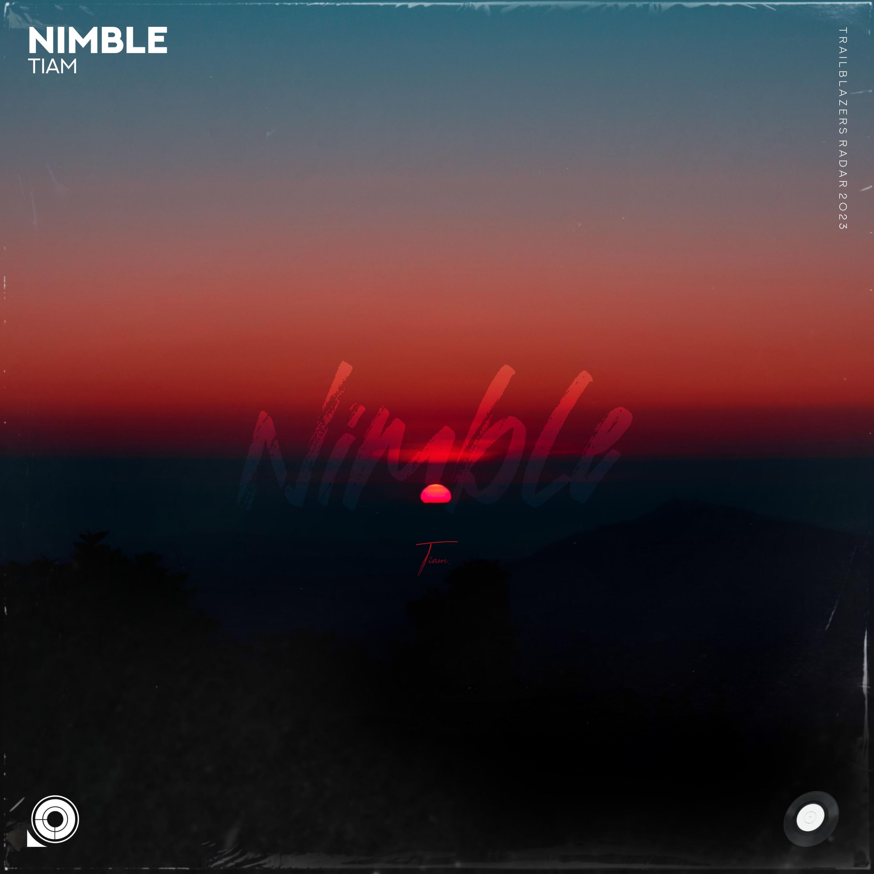 Релиз Nimble