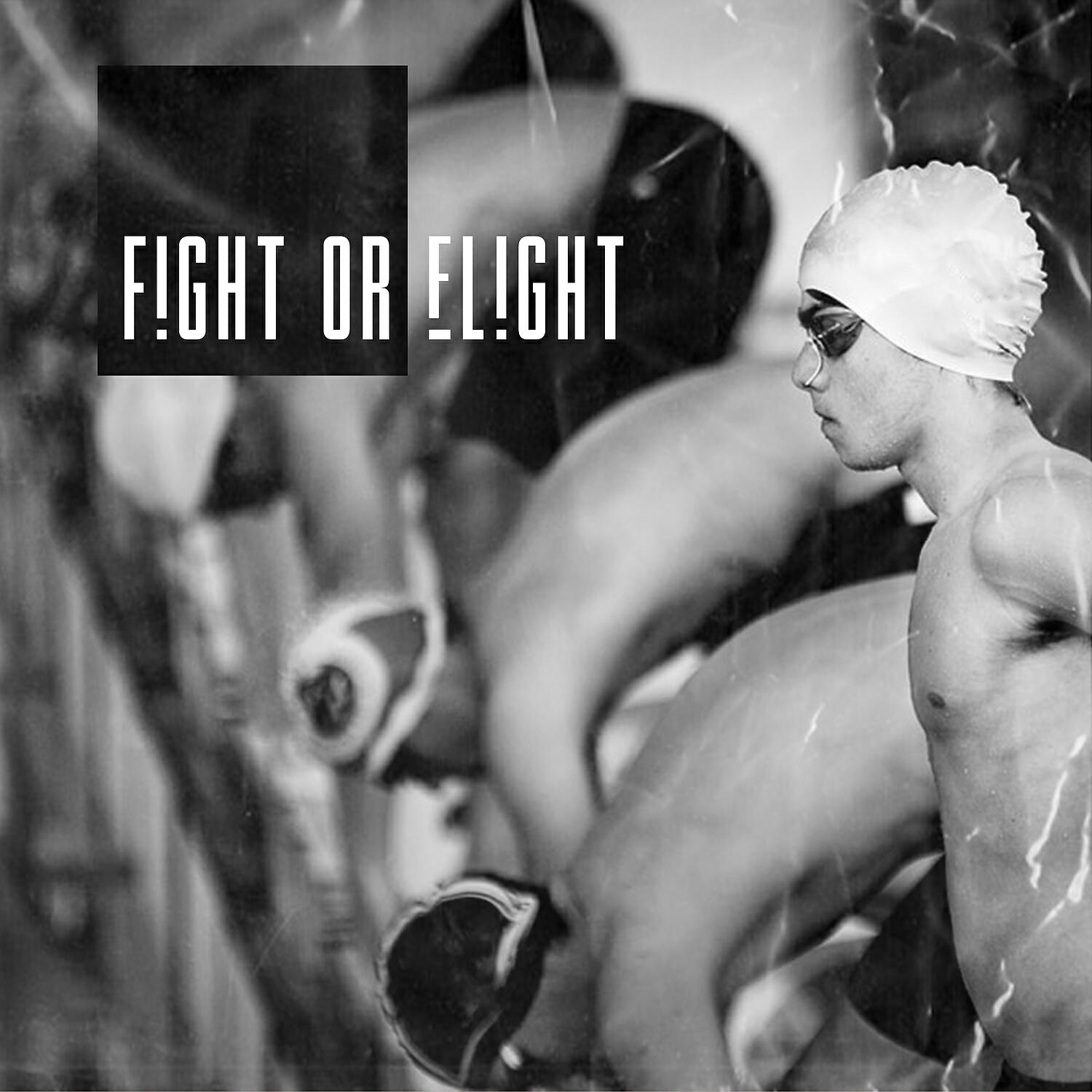 Релиз Fight or Flight