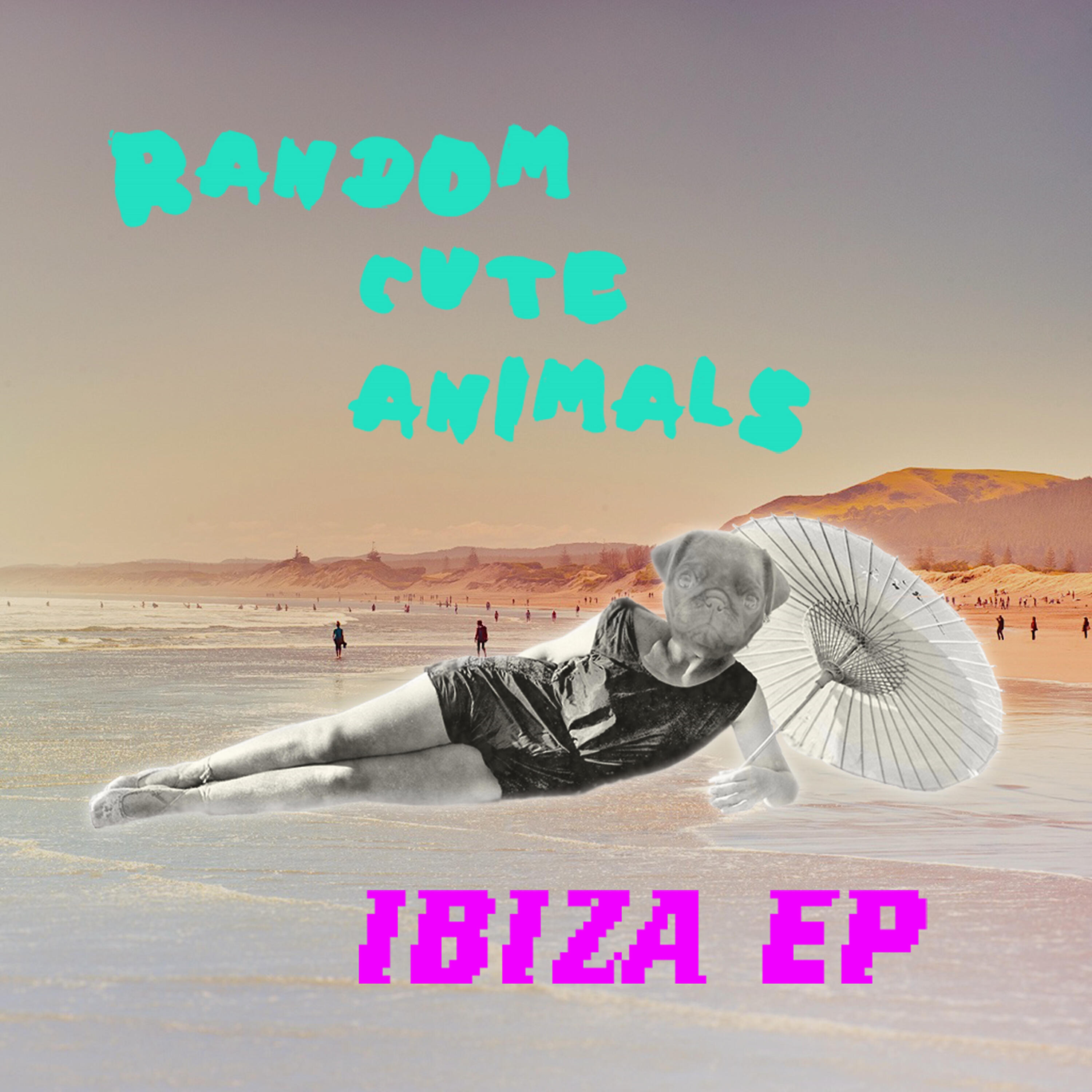 Random Cute Animals все песни в mp3