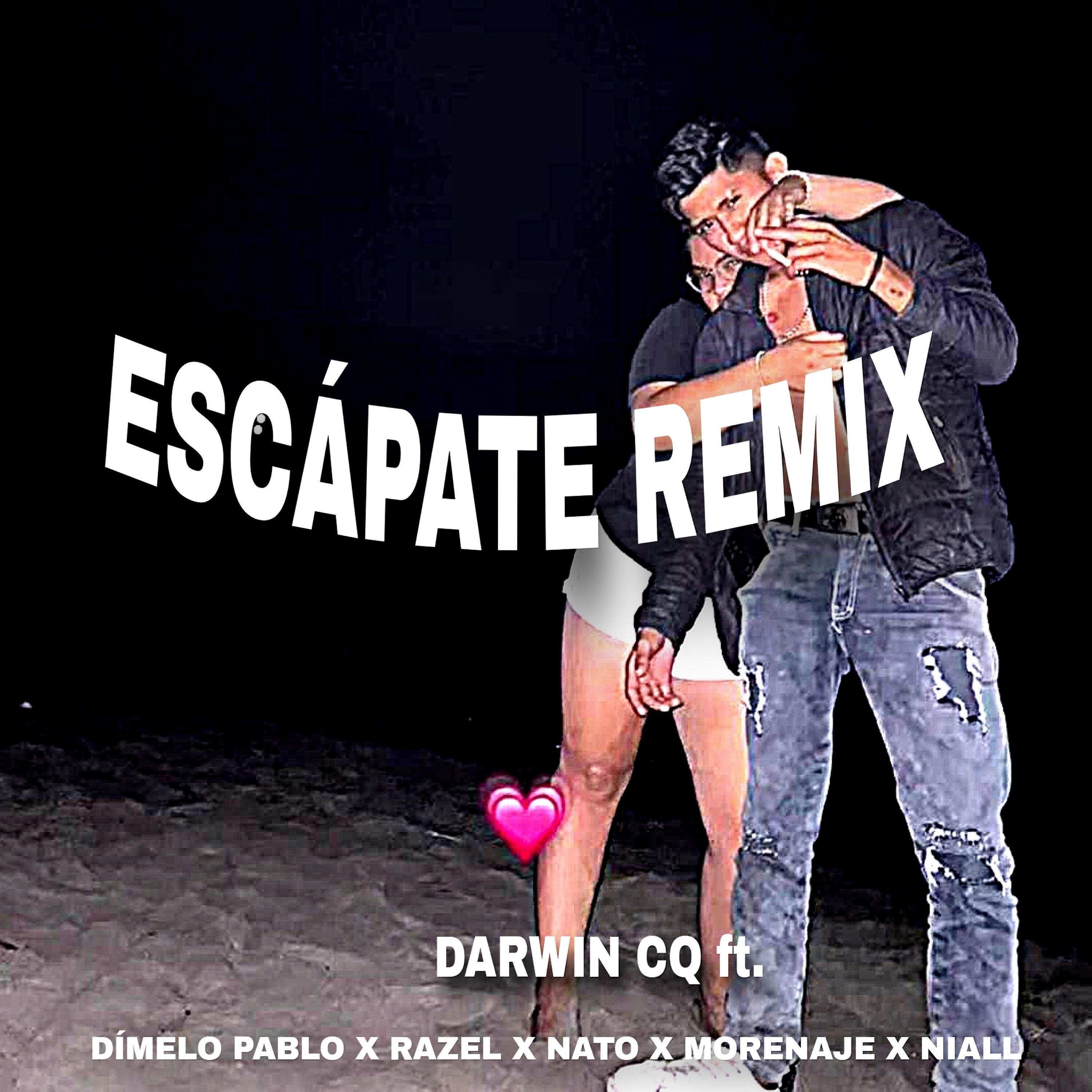 Darwin Cq