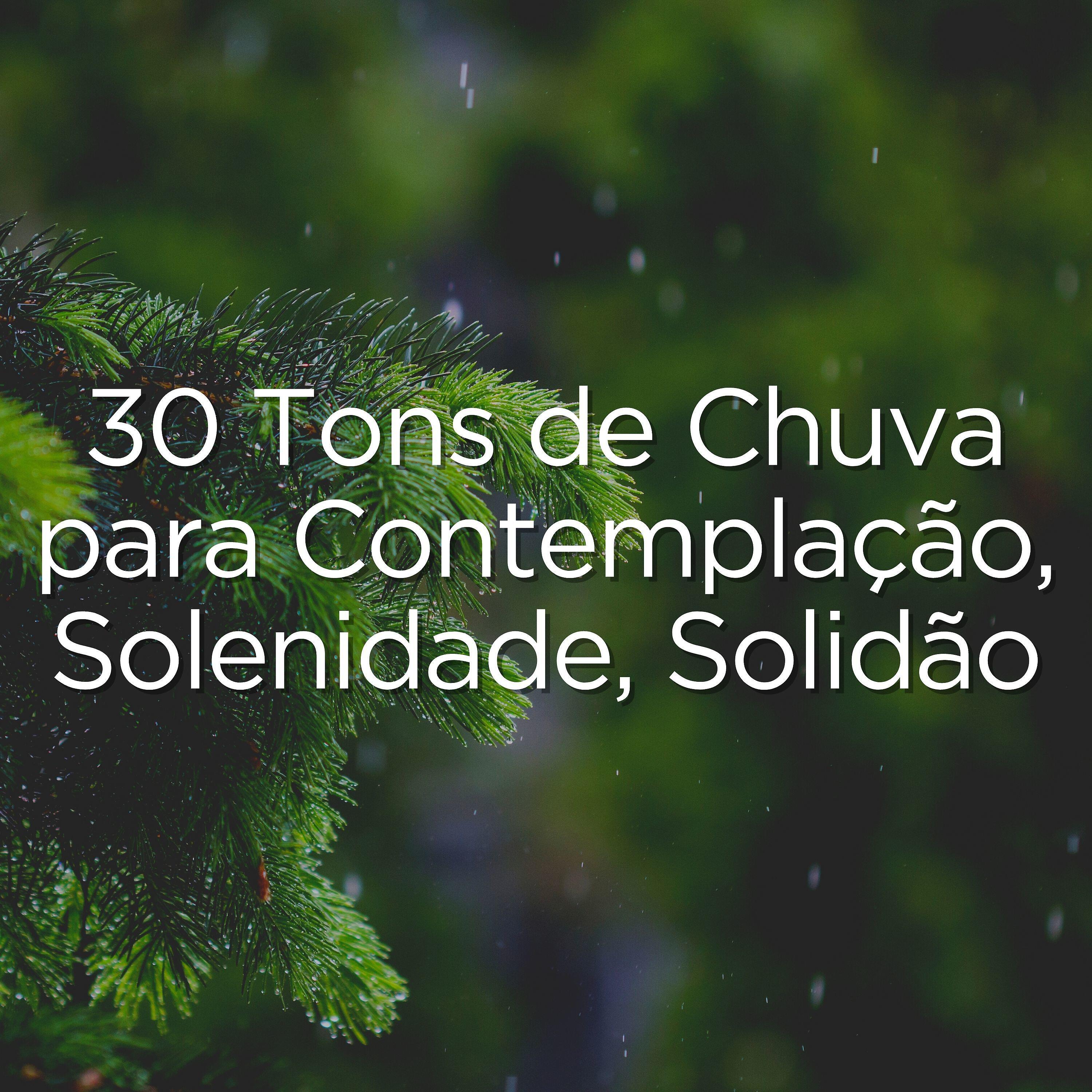 Релиз 30 Tons de Chuva para Contemplação, Solenidade, Solidão