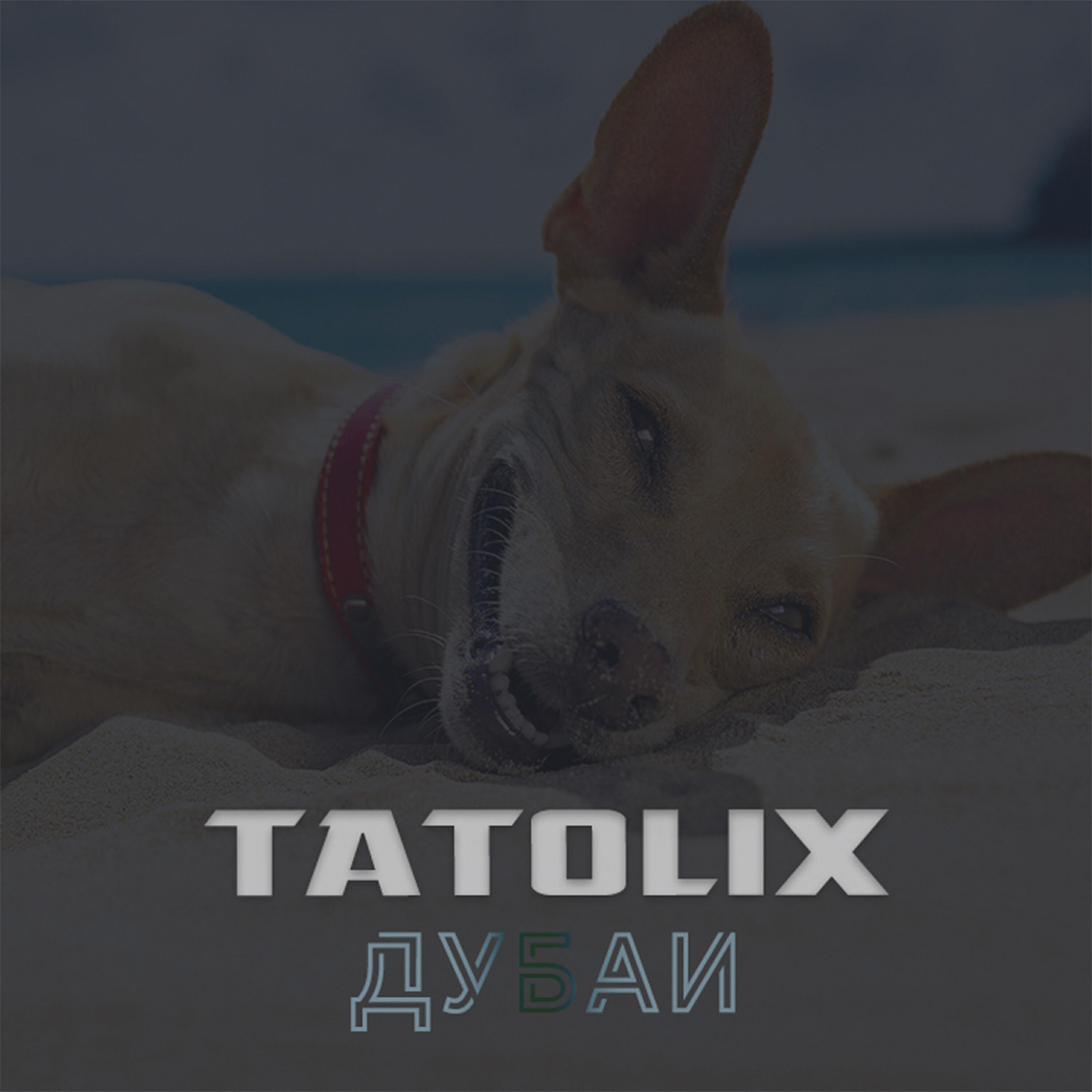 Релиз Дубаи