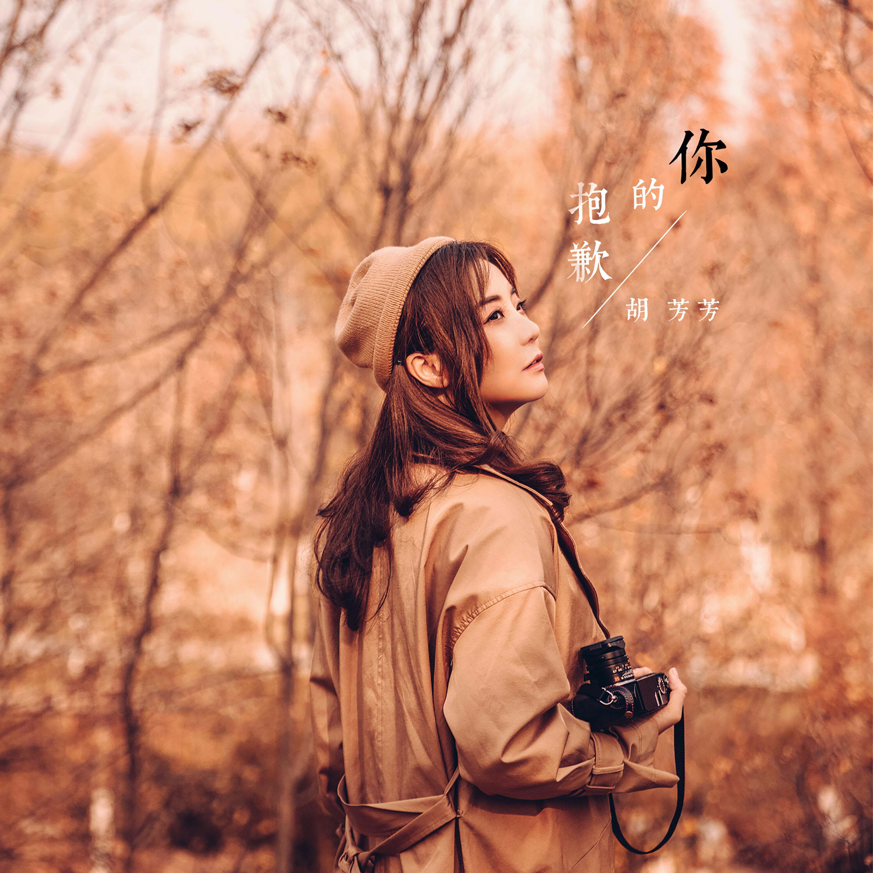 Релиз 你的抱歉