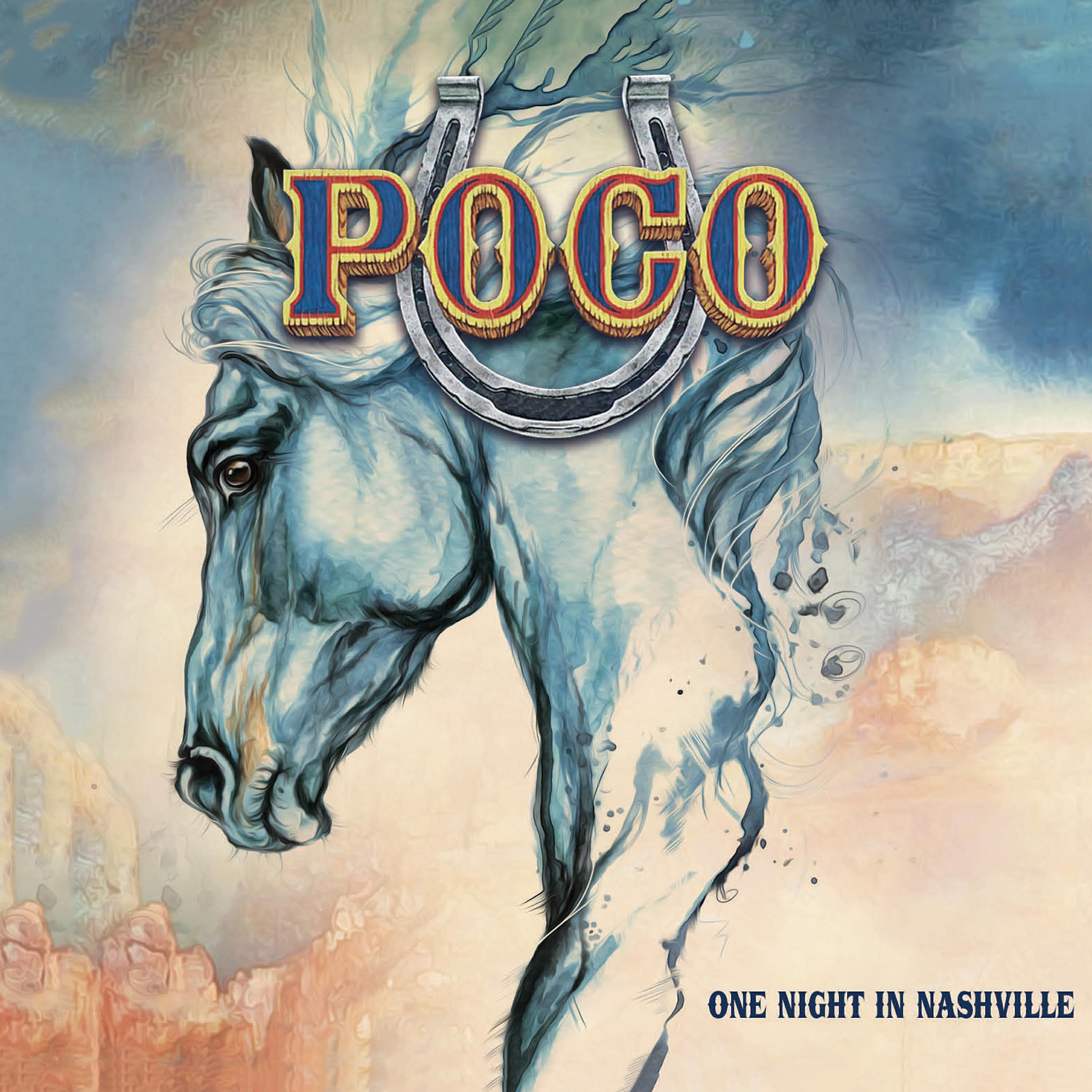 Релиз One Night in Nashville (Live)