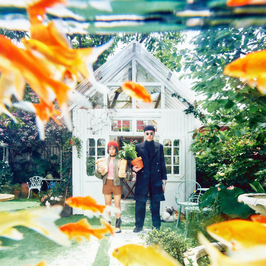 Волна по релизу