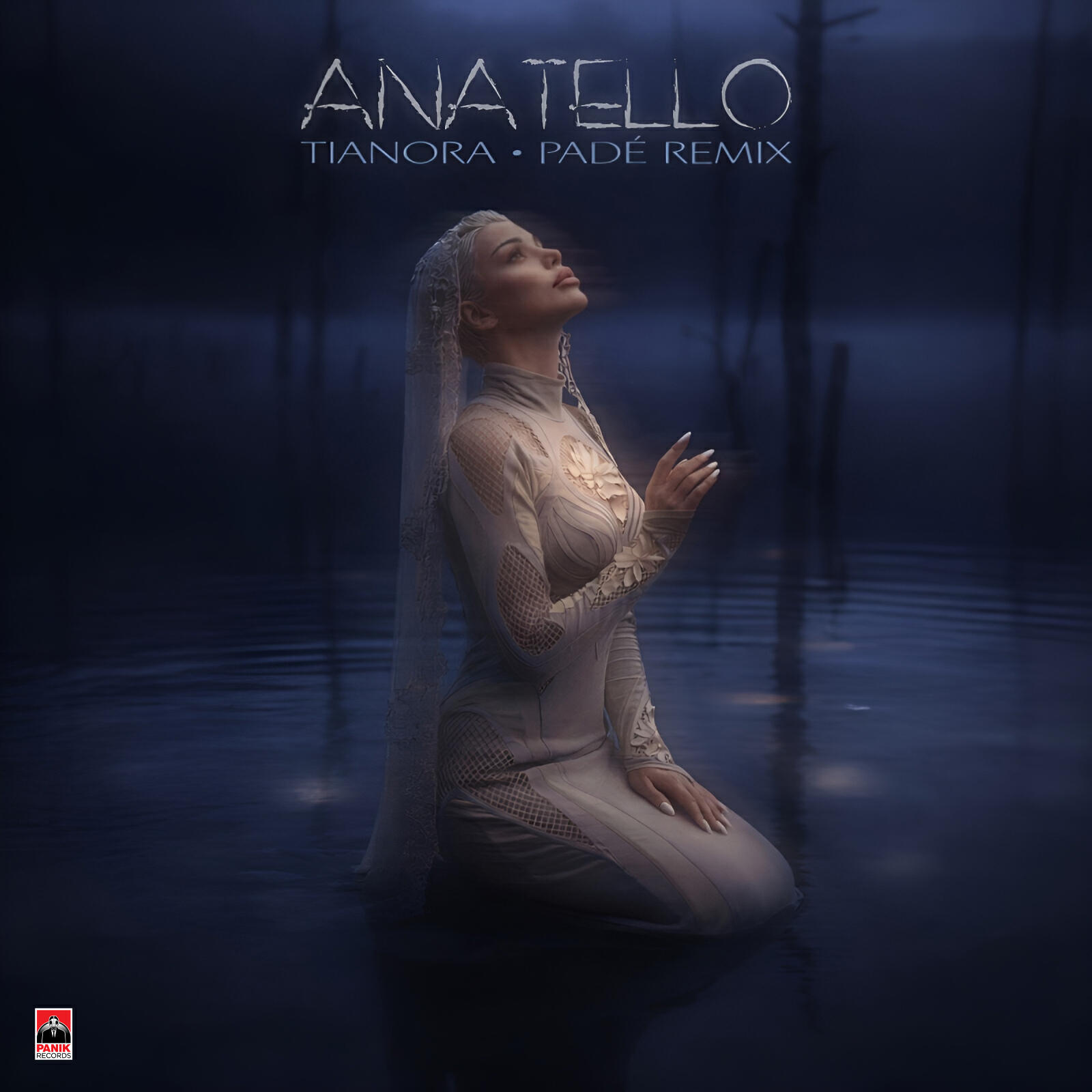Релиз Anatello