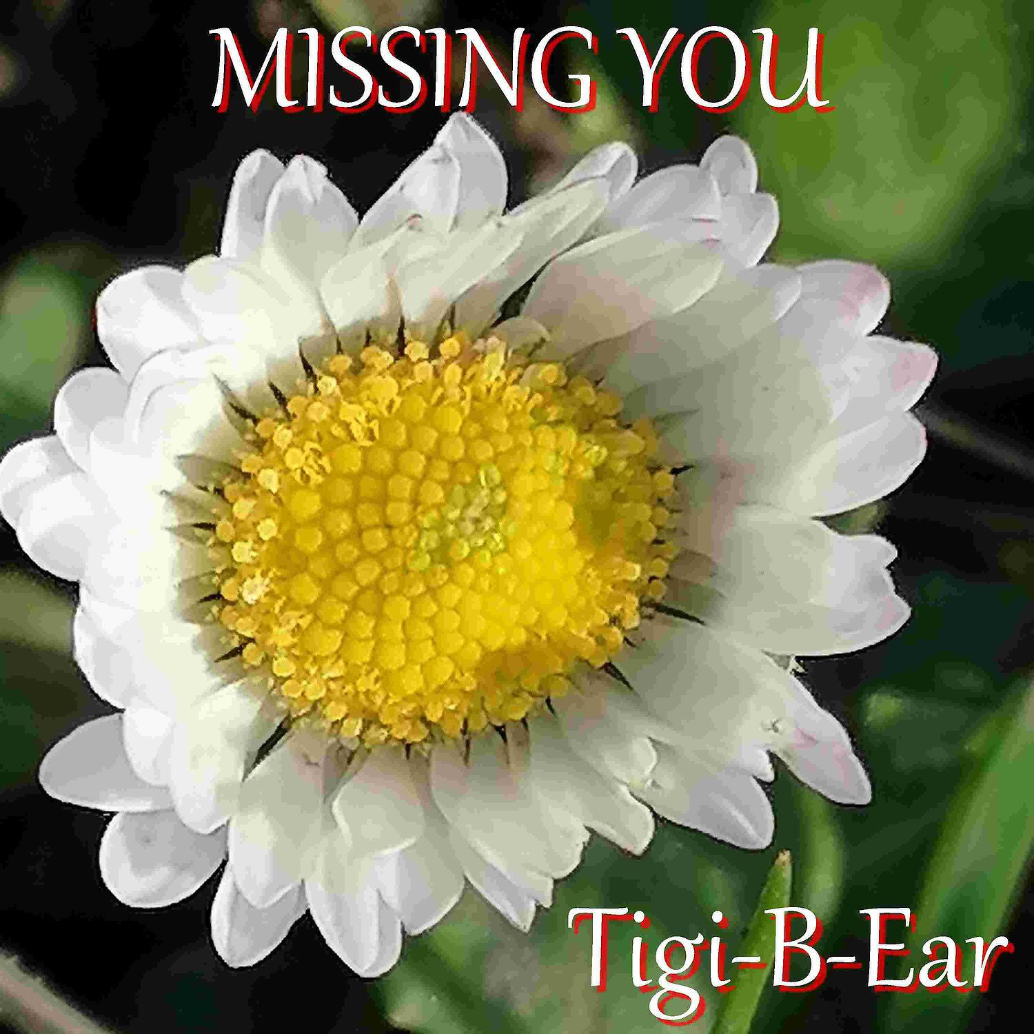 Релиз Missing You