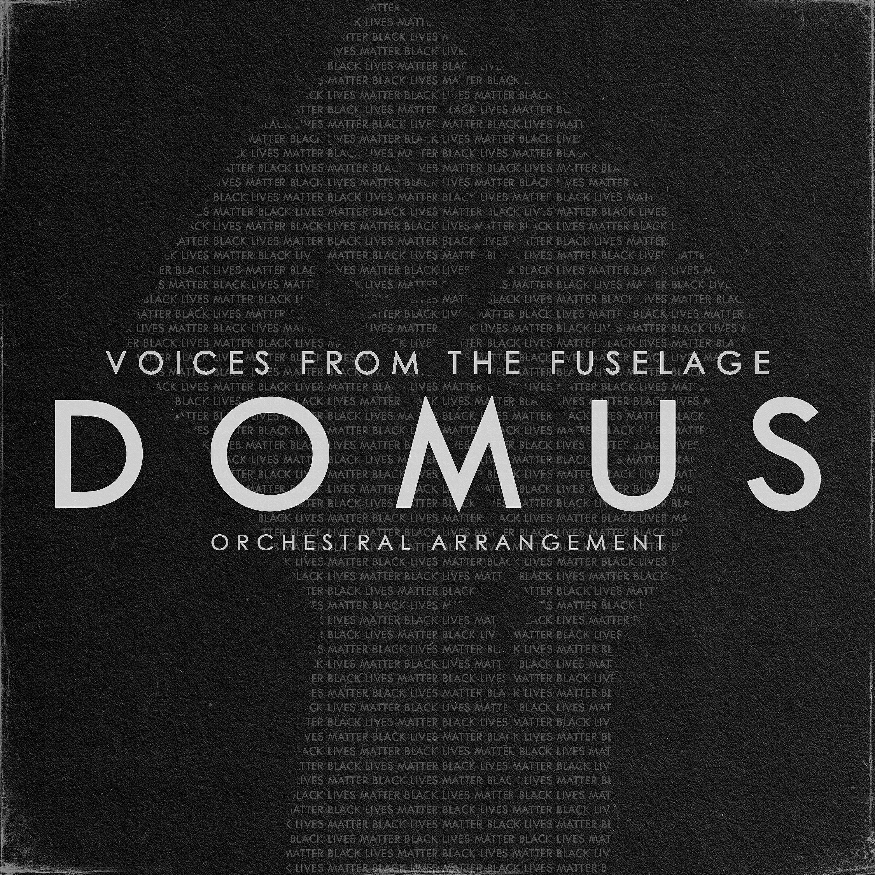 Voices From The Fuselage