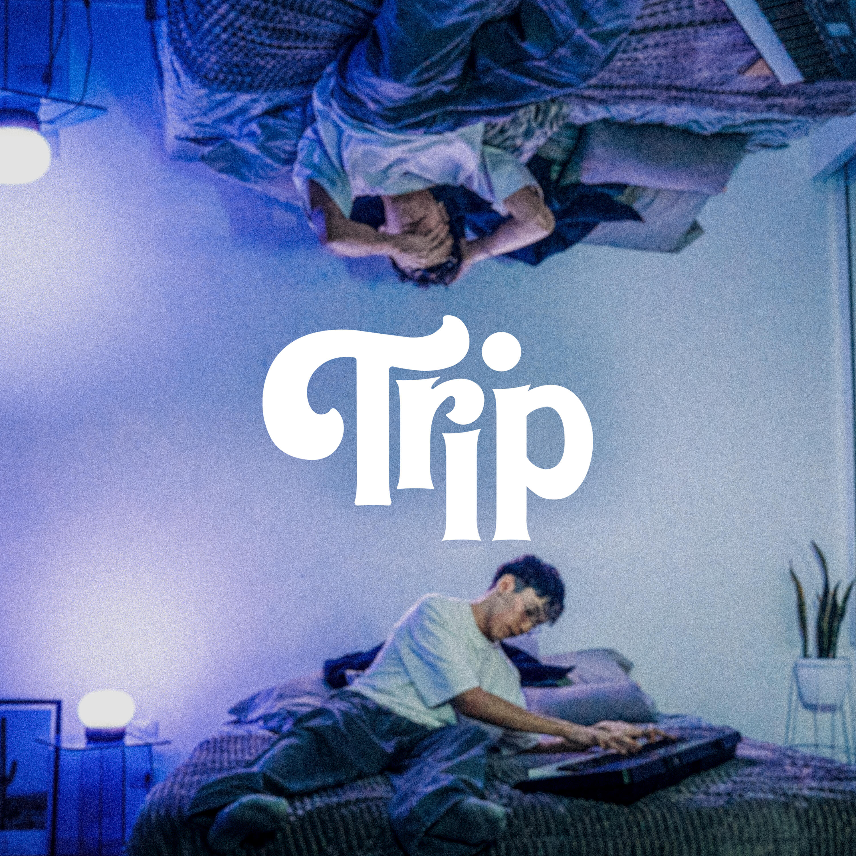 Релиз Trip