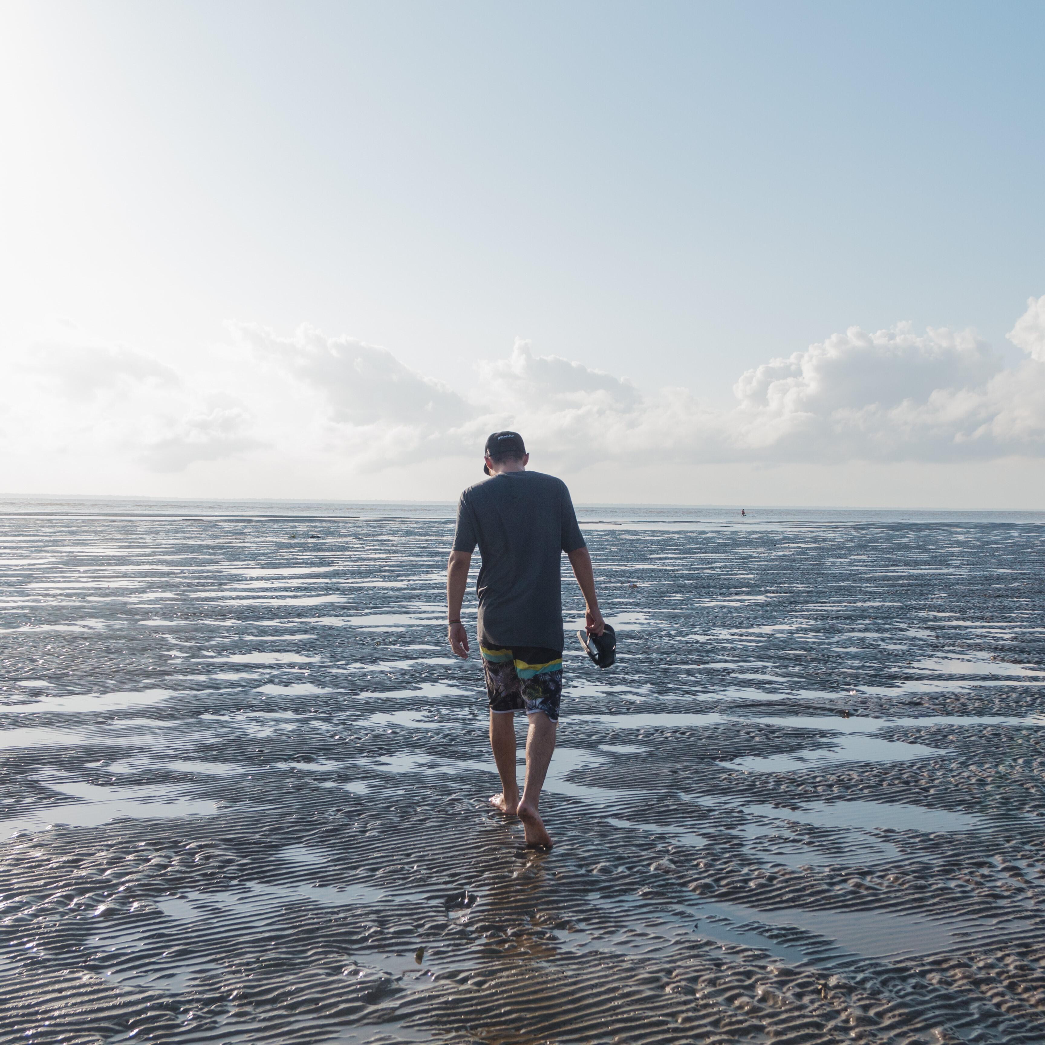 Релиз Horizontes
