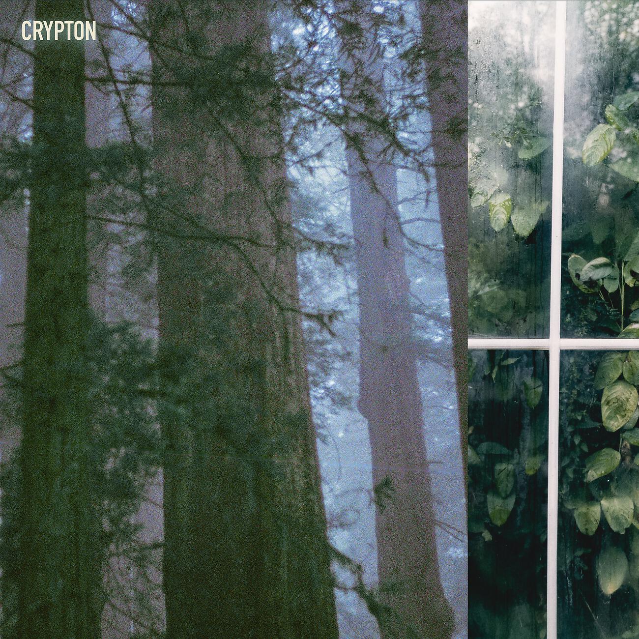 Релиз Deep Green