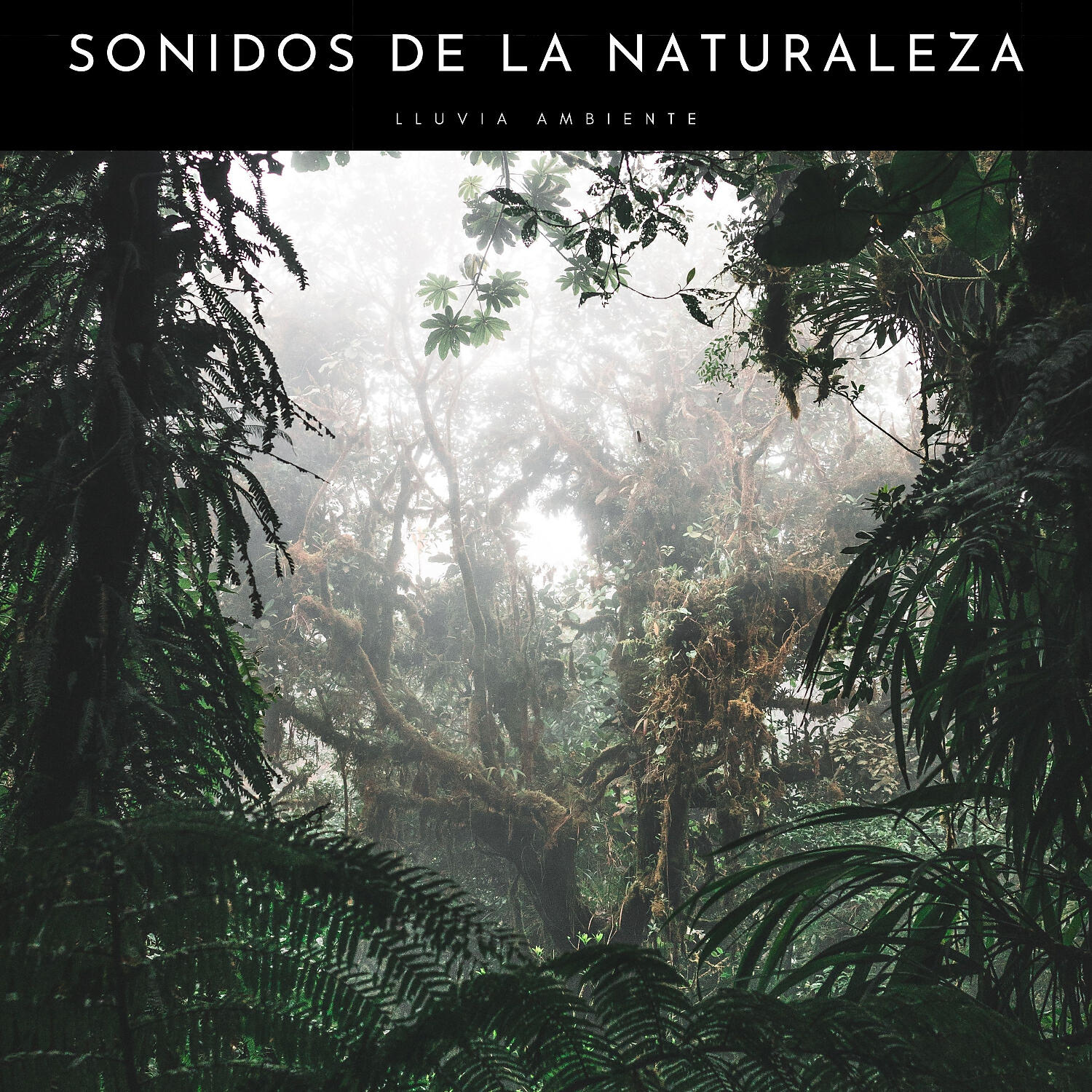 Релиз Sonidos De La Naturaleza: Lluvia Ambiente