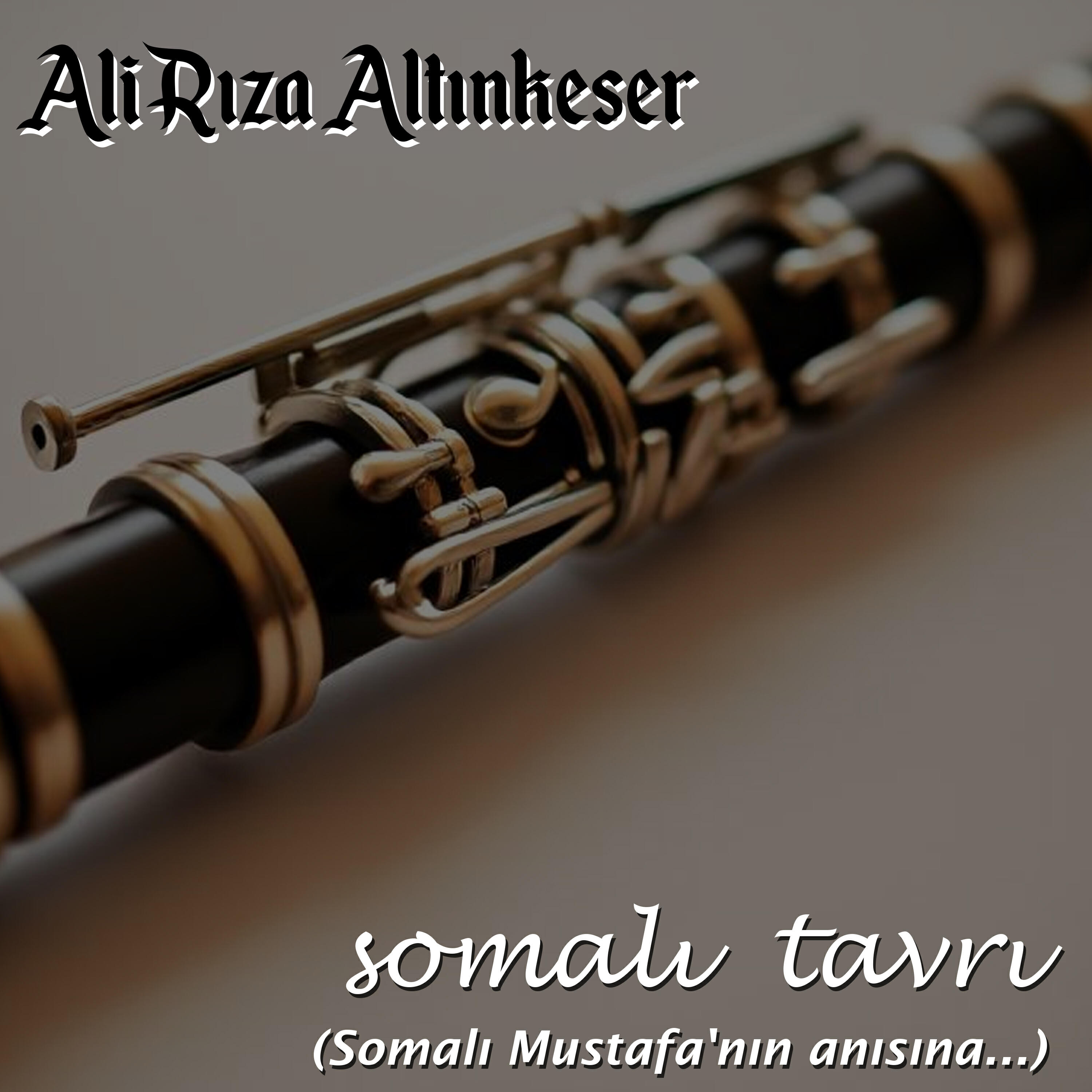 Релиз Somalı Tavrı