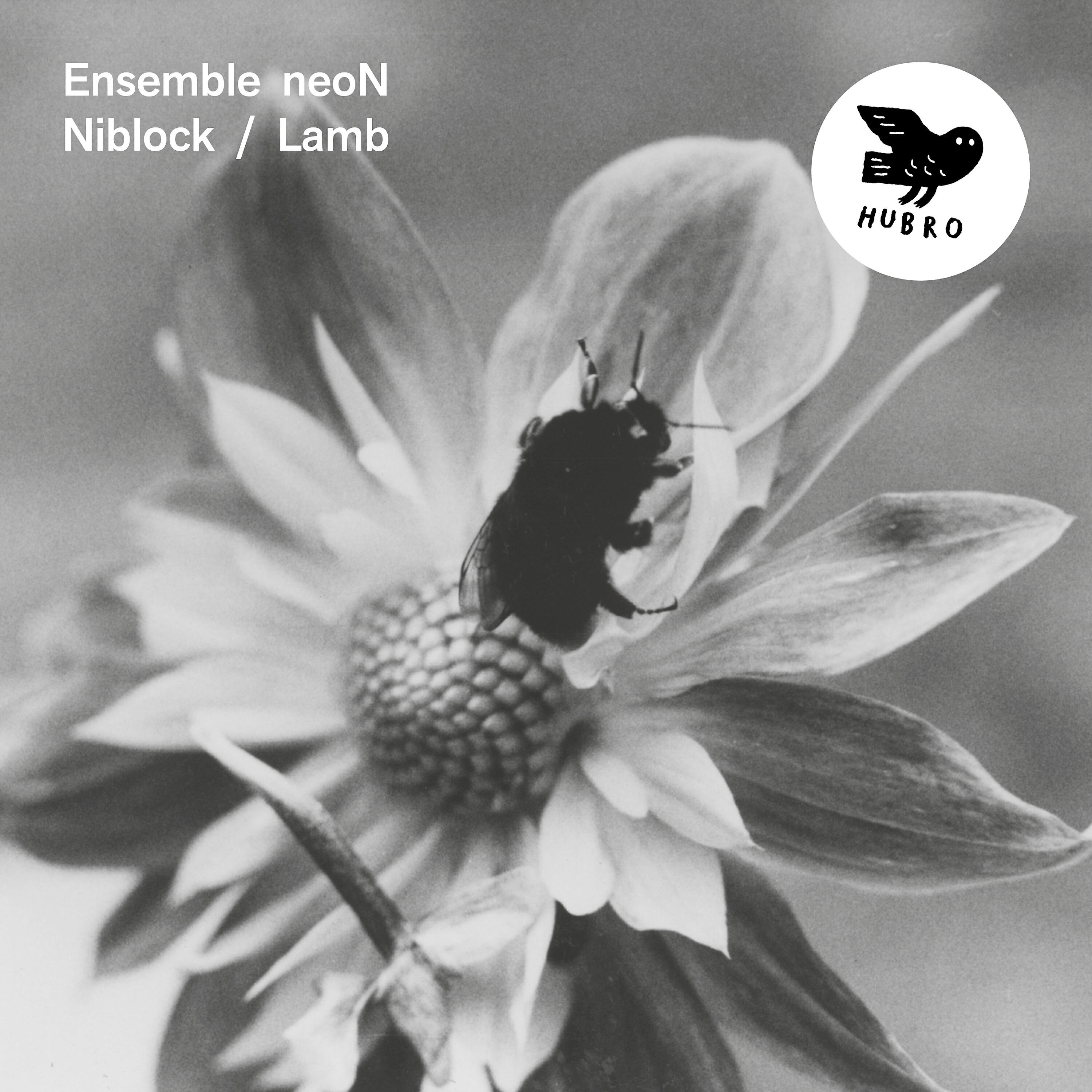 Релиз Niblock / Lamb