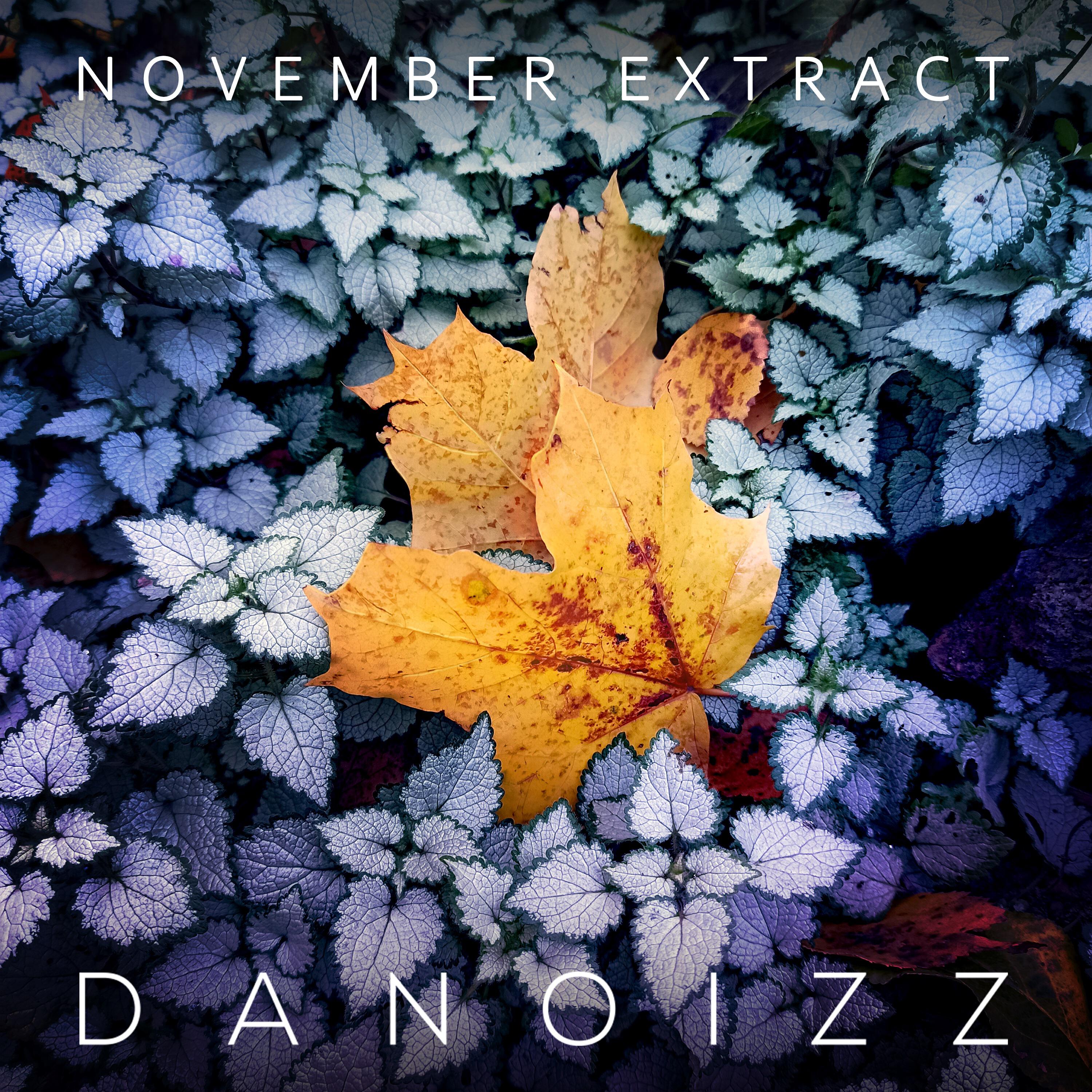 Релиз November Extract