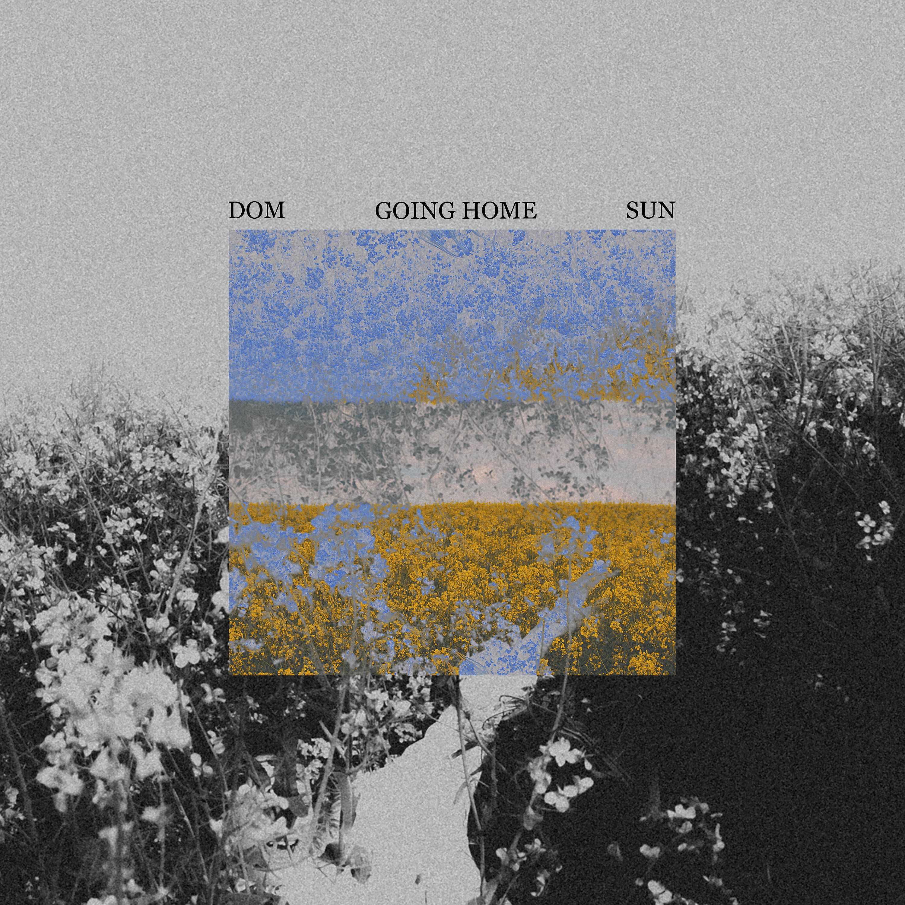 Релиз Going Home