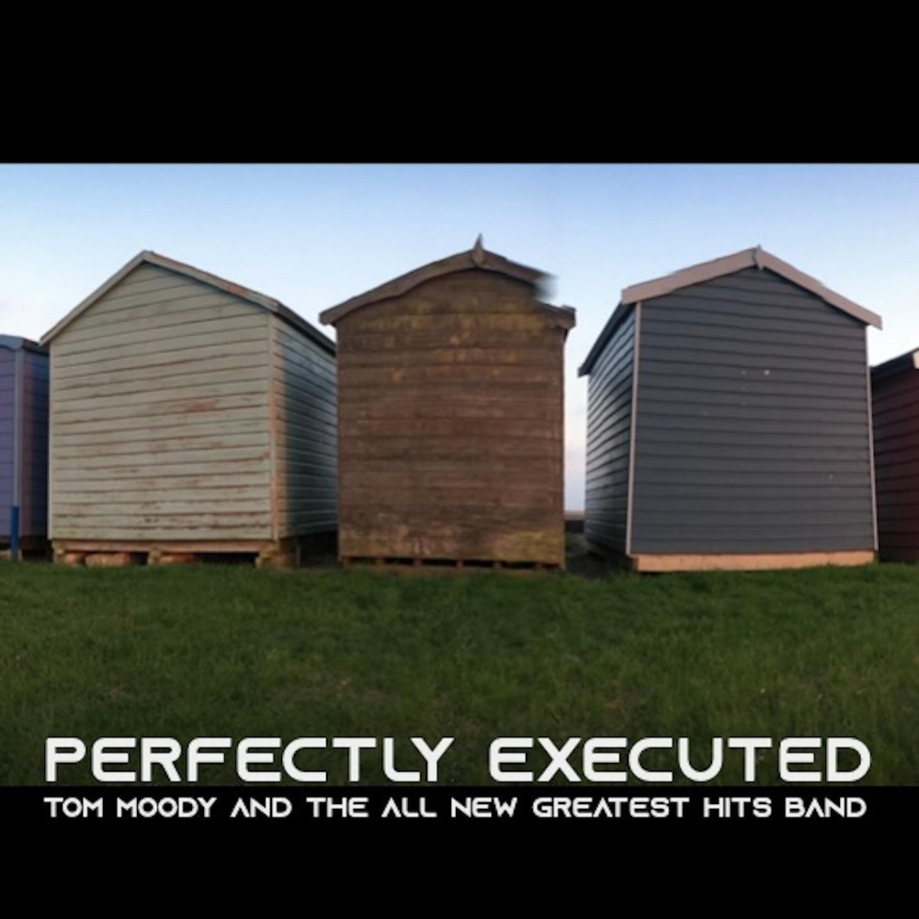 Релиз Perfectly Executed