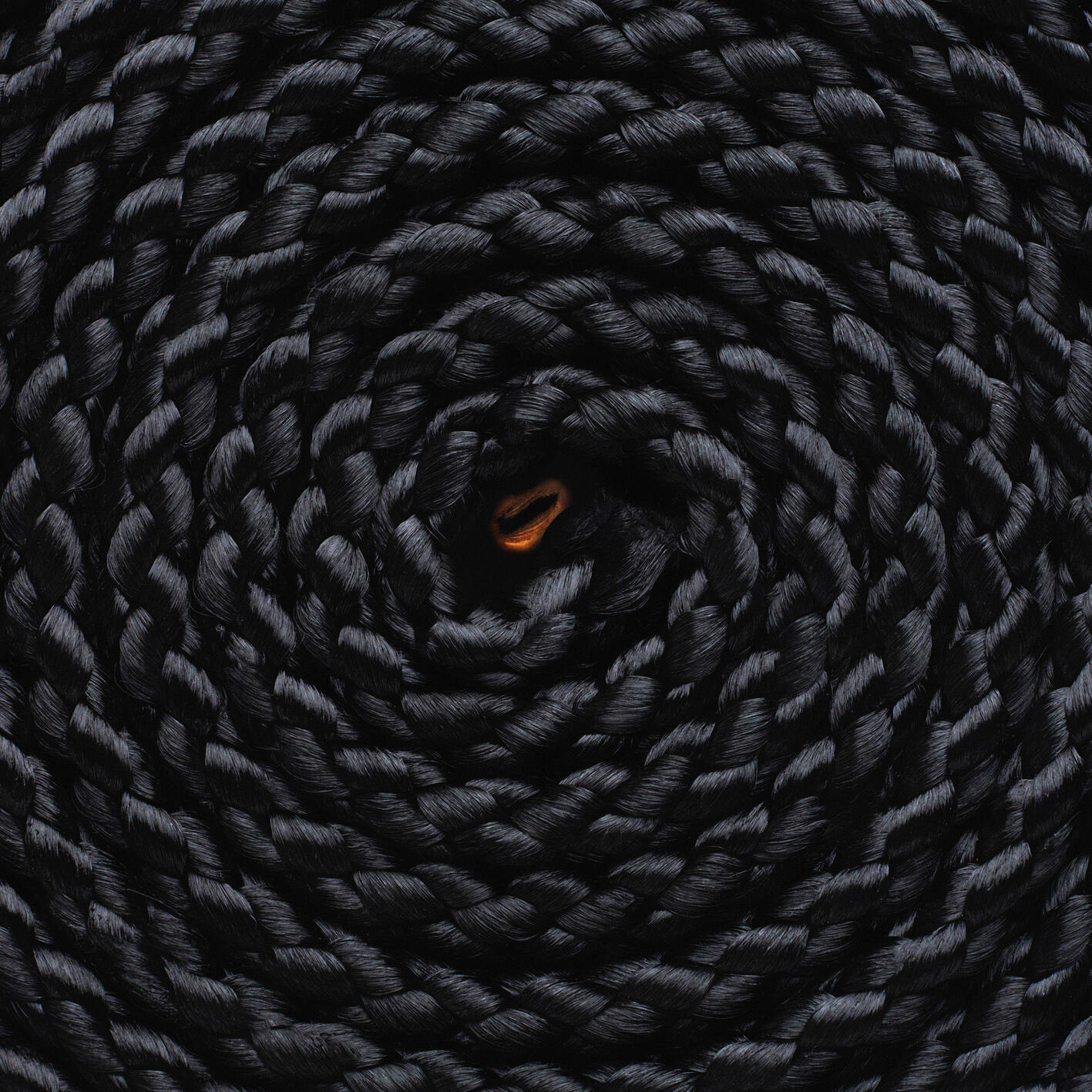 Релиз Black Sheep