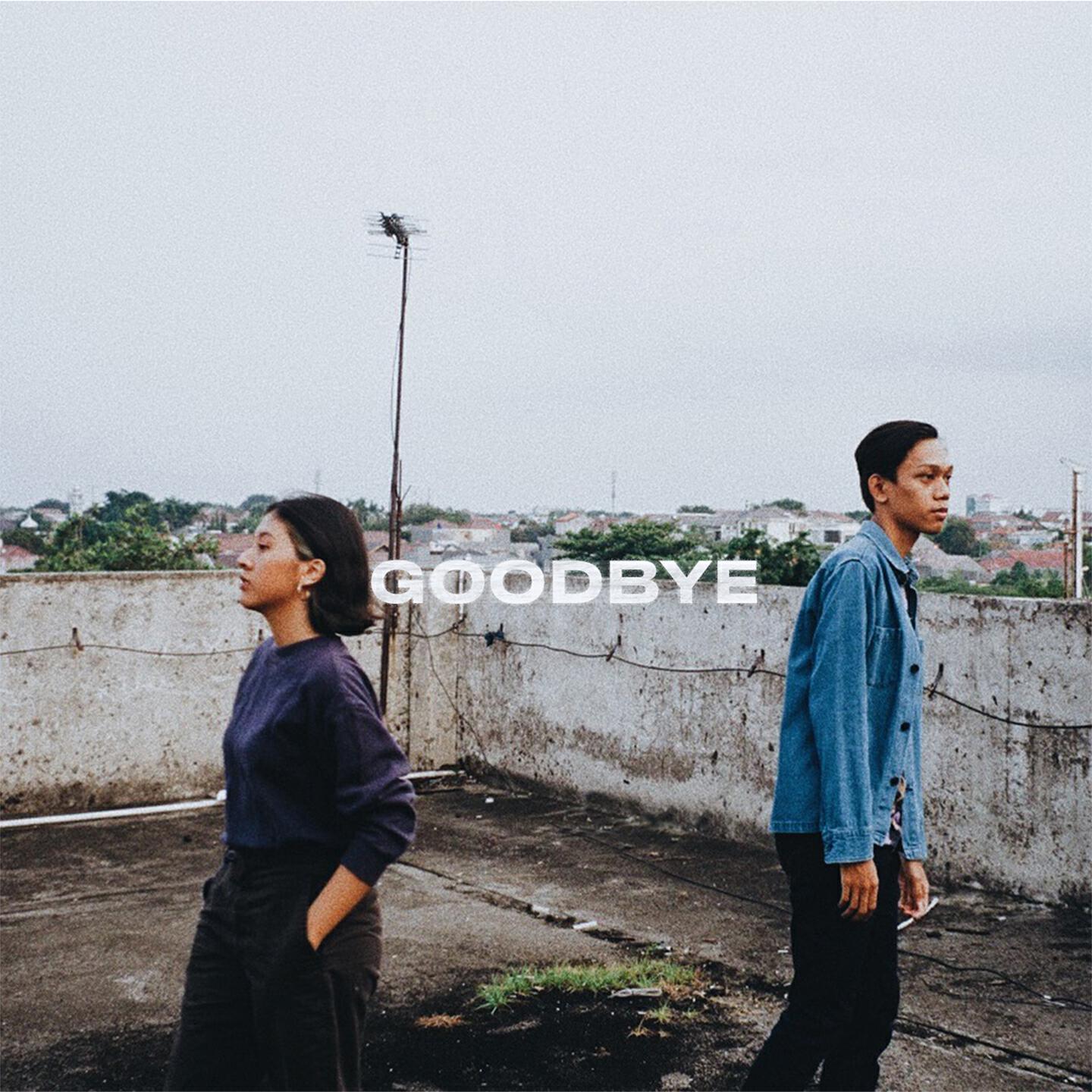 Релиз Goodbye