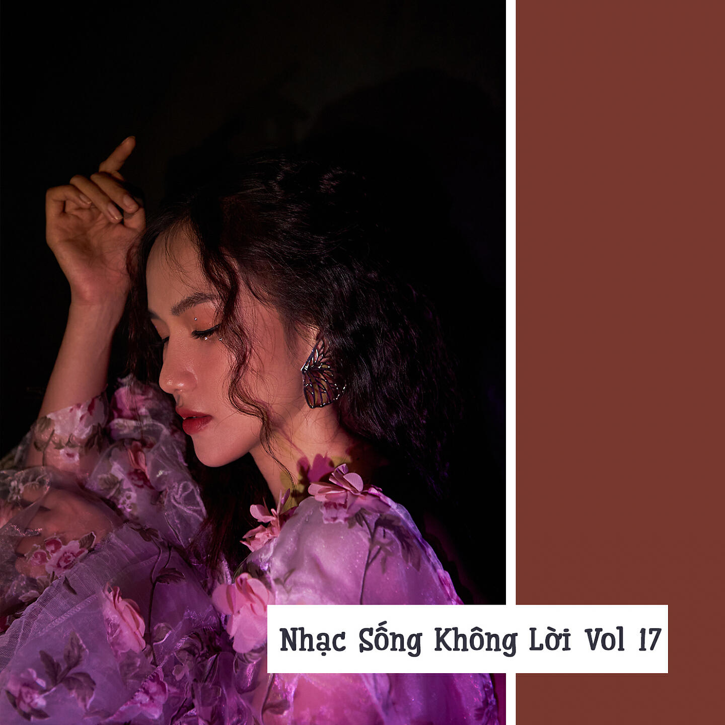 Релиз Nhạc Sống Không Lời, Vol. 17
