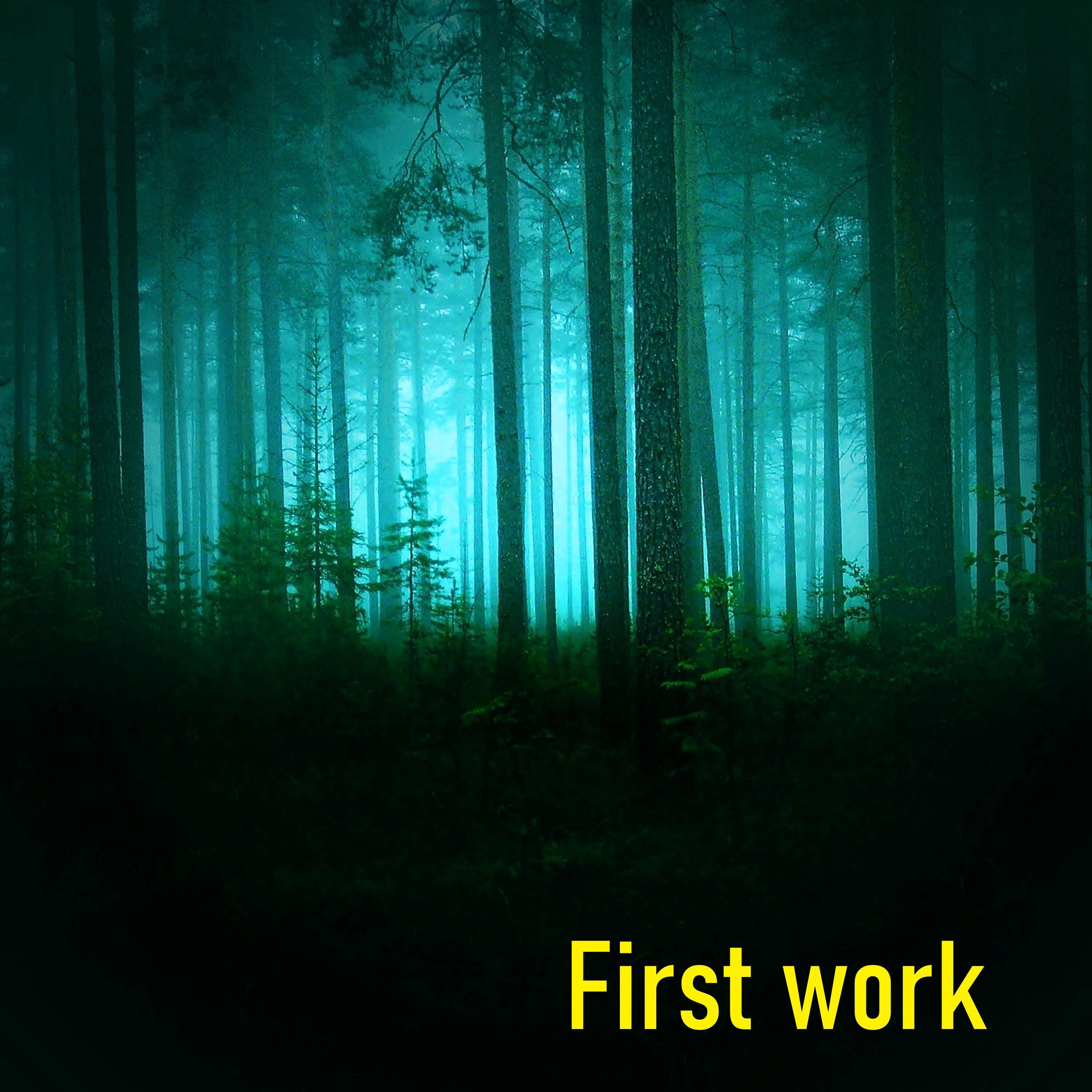 Релиз First work