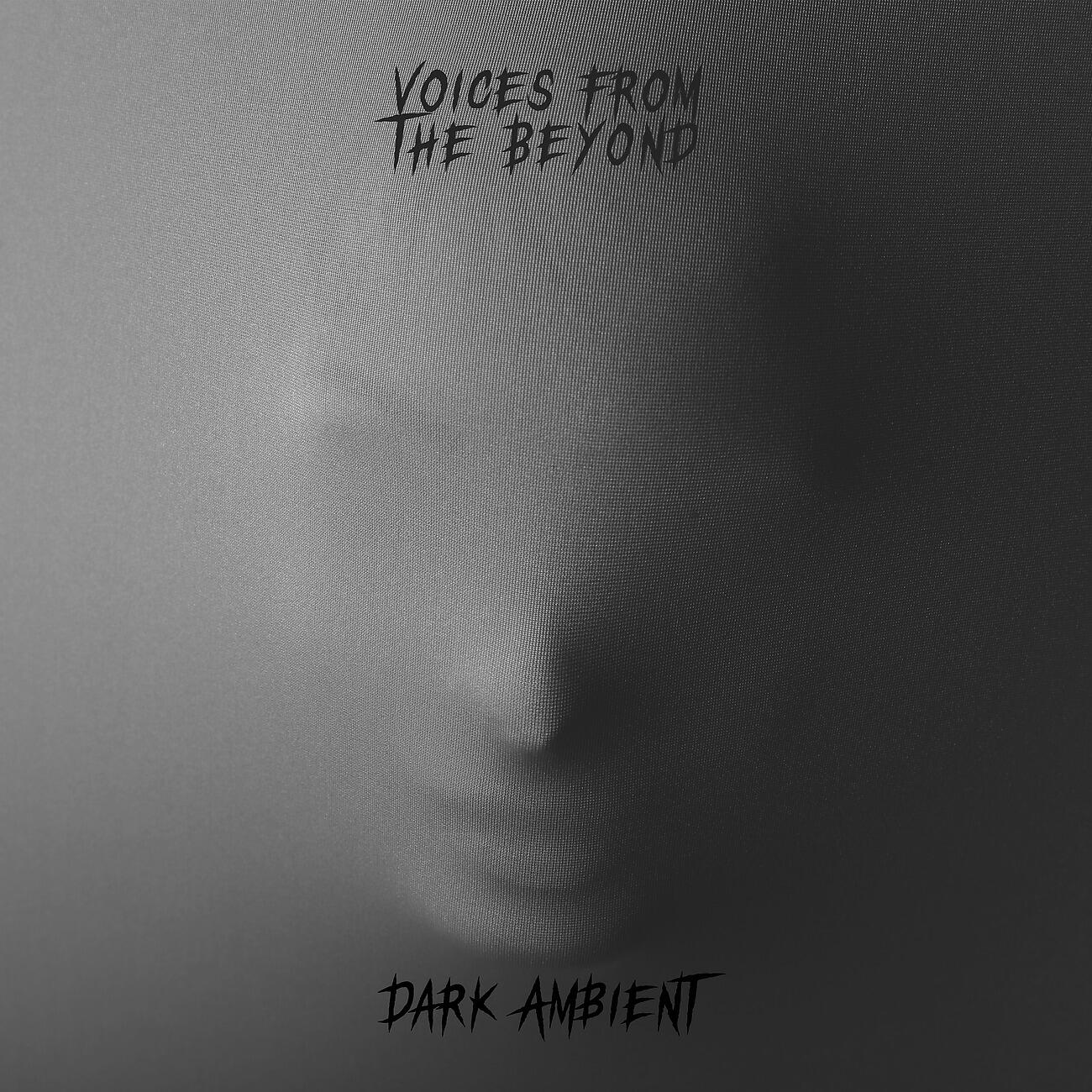 Релиз Voices from the Beyond