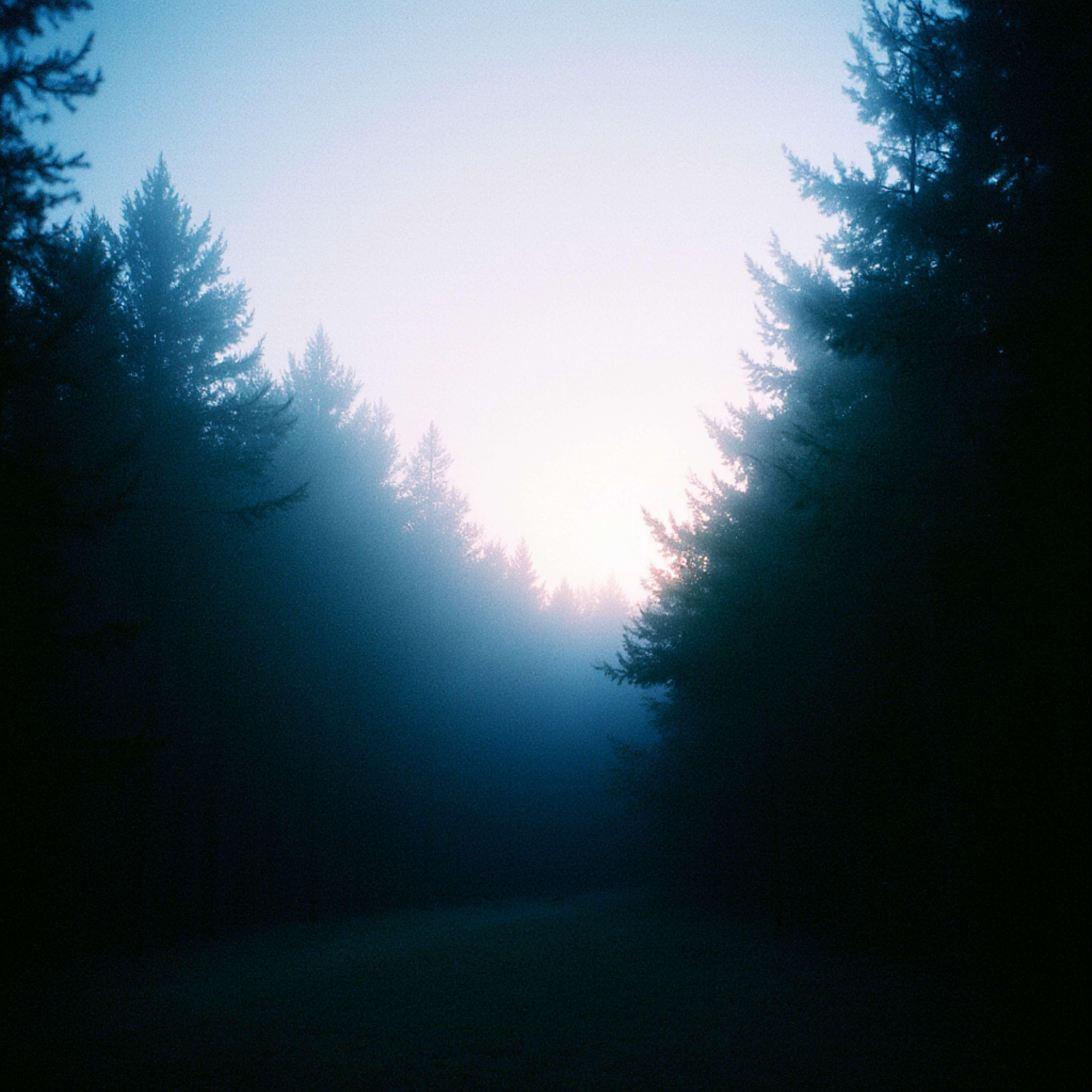 Релиз whispers of calm