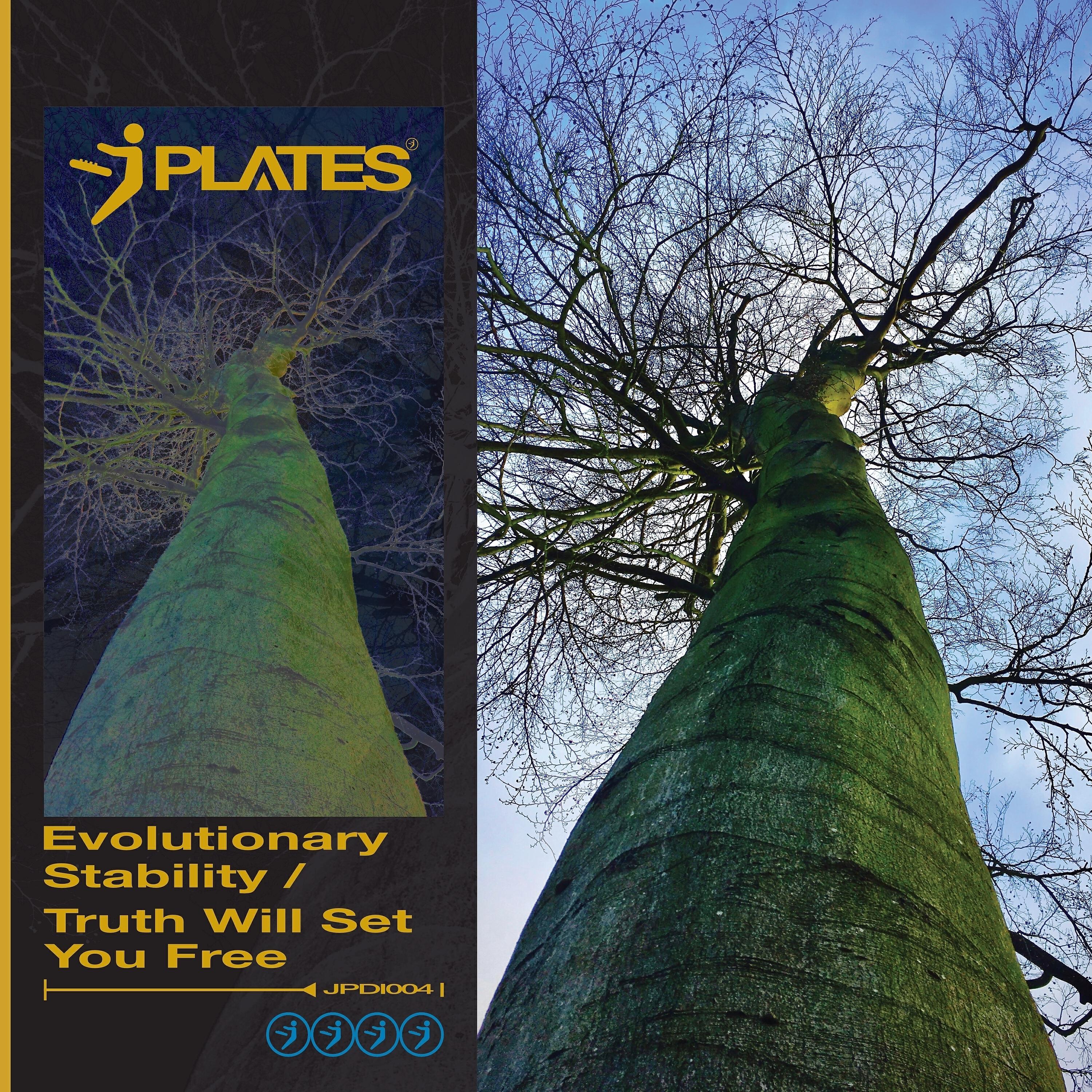 Релиз Evolutionary Stability / Truth Will Set You Free