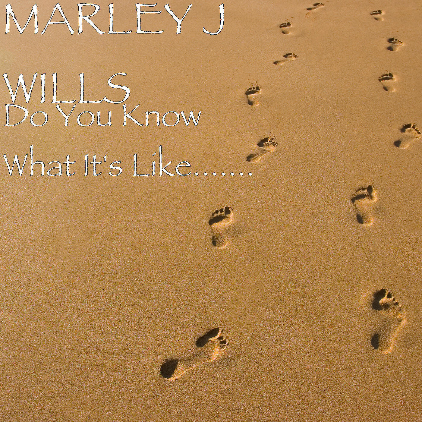 Релиз Do You Know What It's Like.......