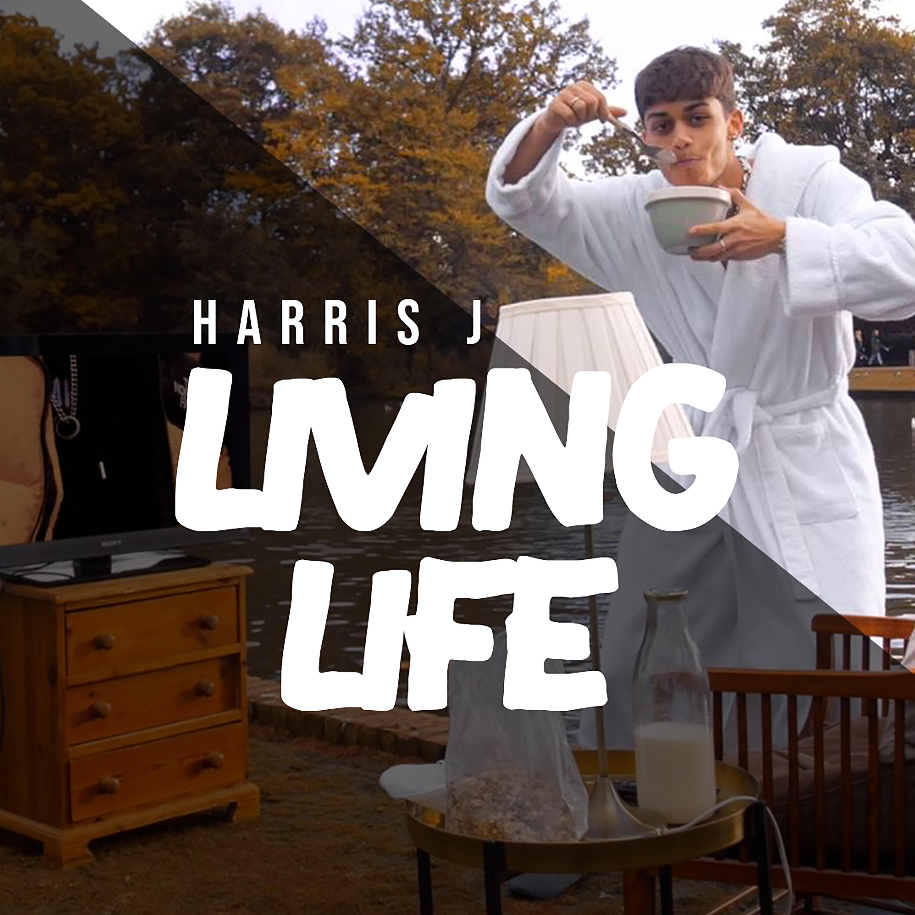 Релиз Living Life
