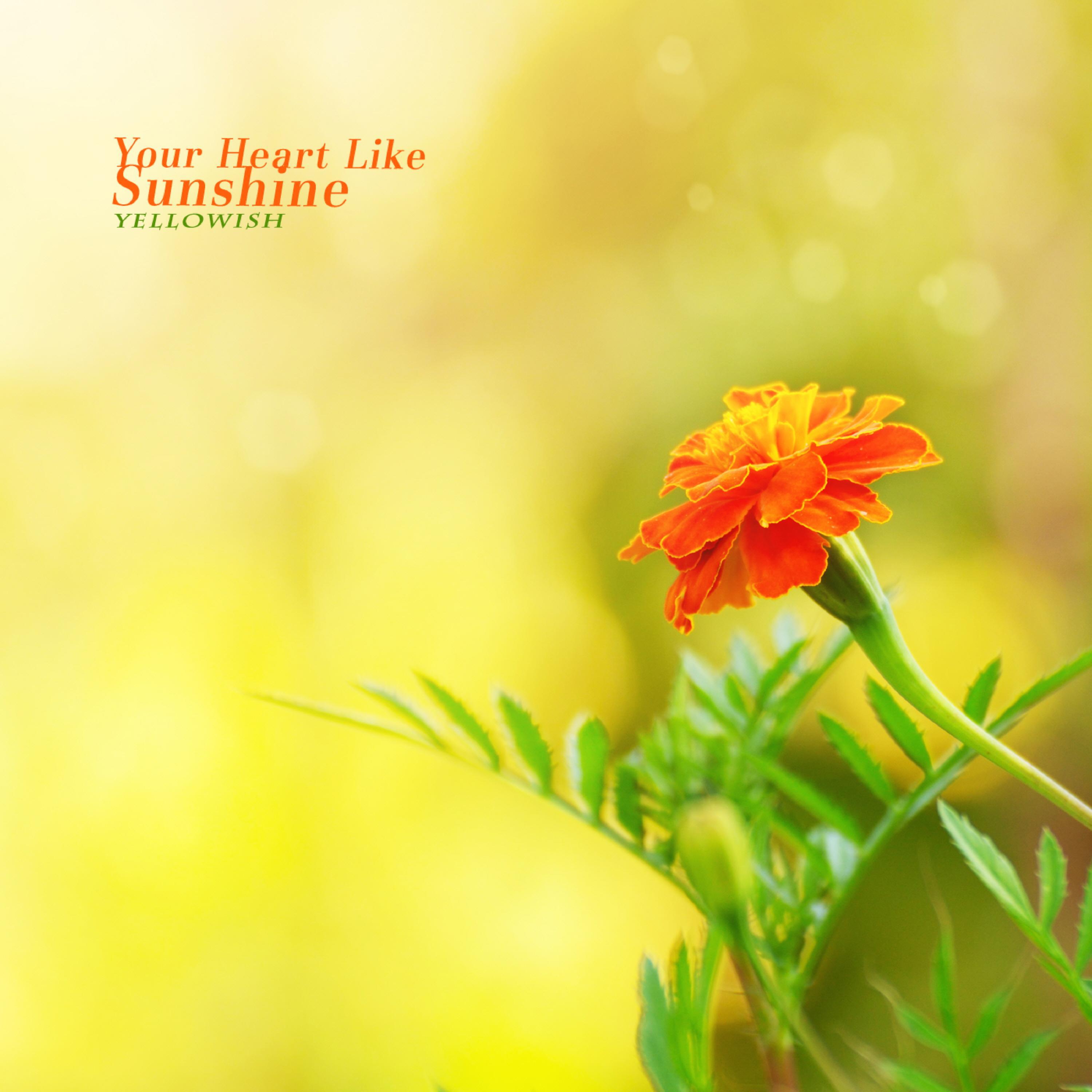 Релиз Your Heart Like Sunshine