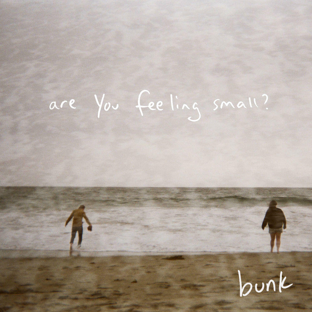 Релиз Are You Feeling Small?