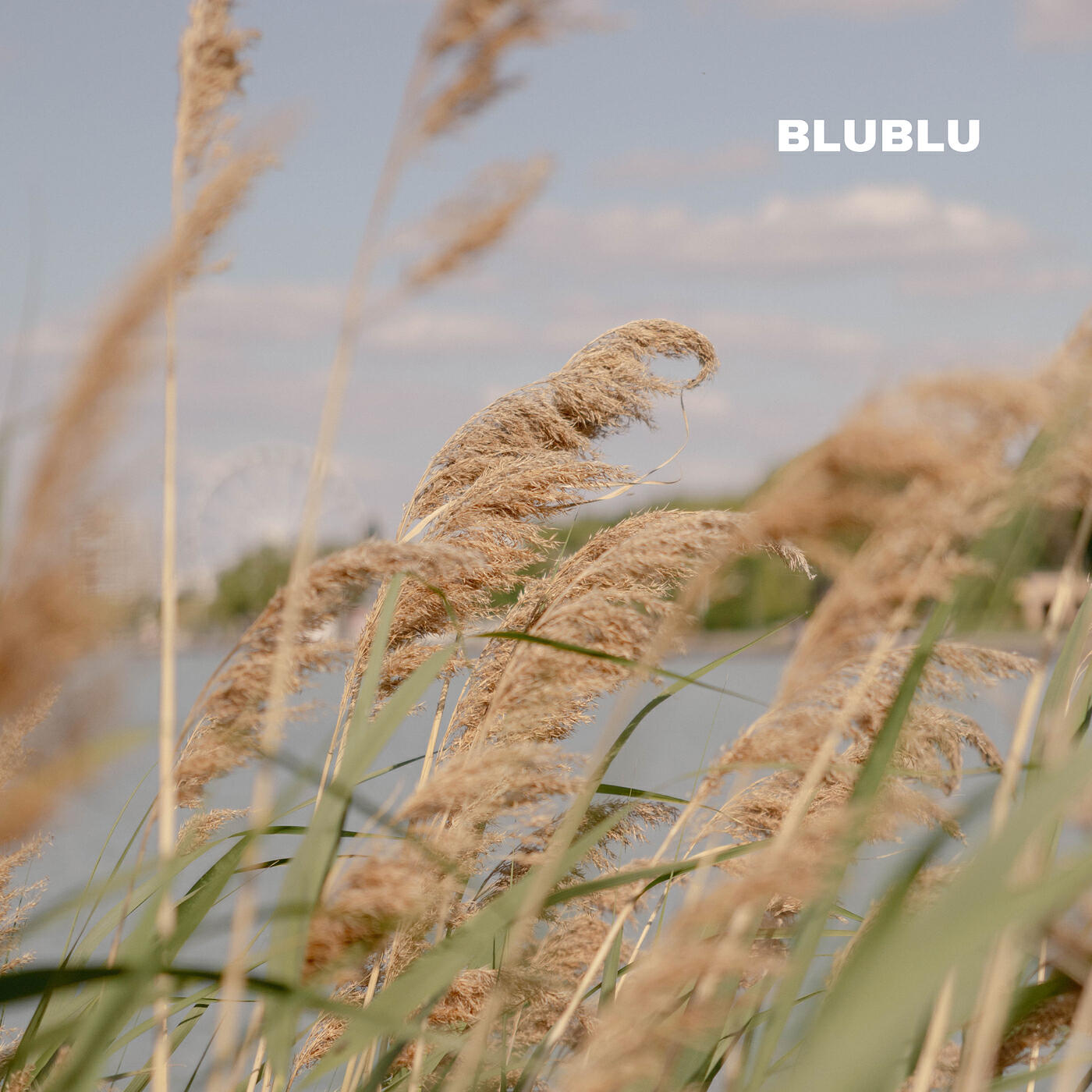 Релиз Soft Breeze